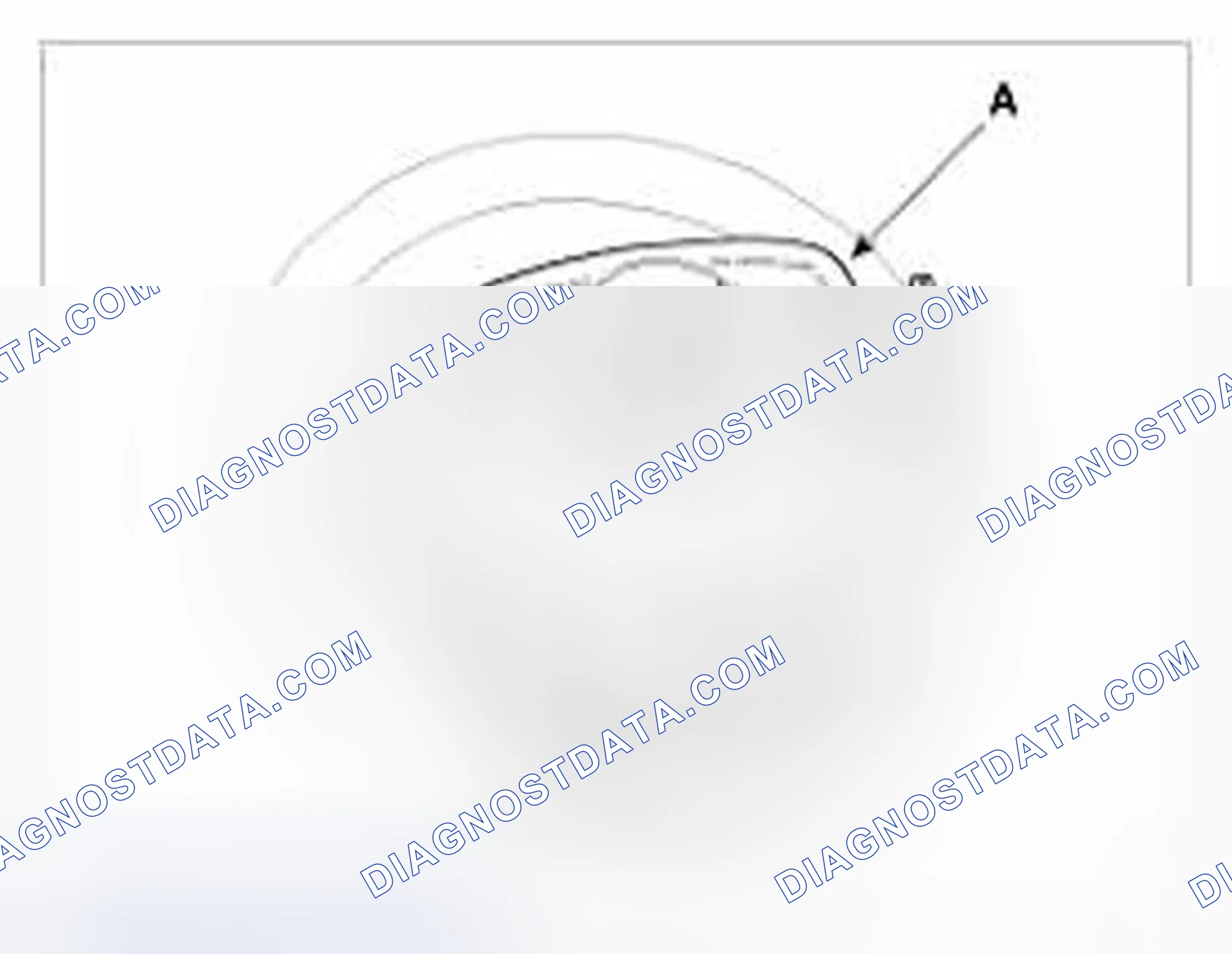 Scheme 8