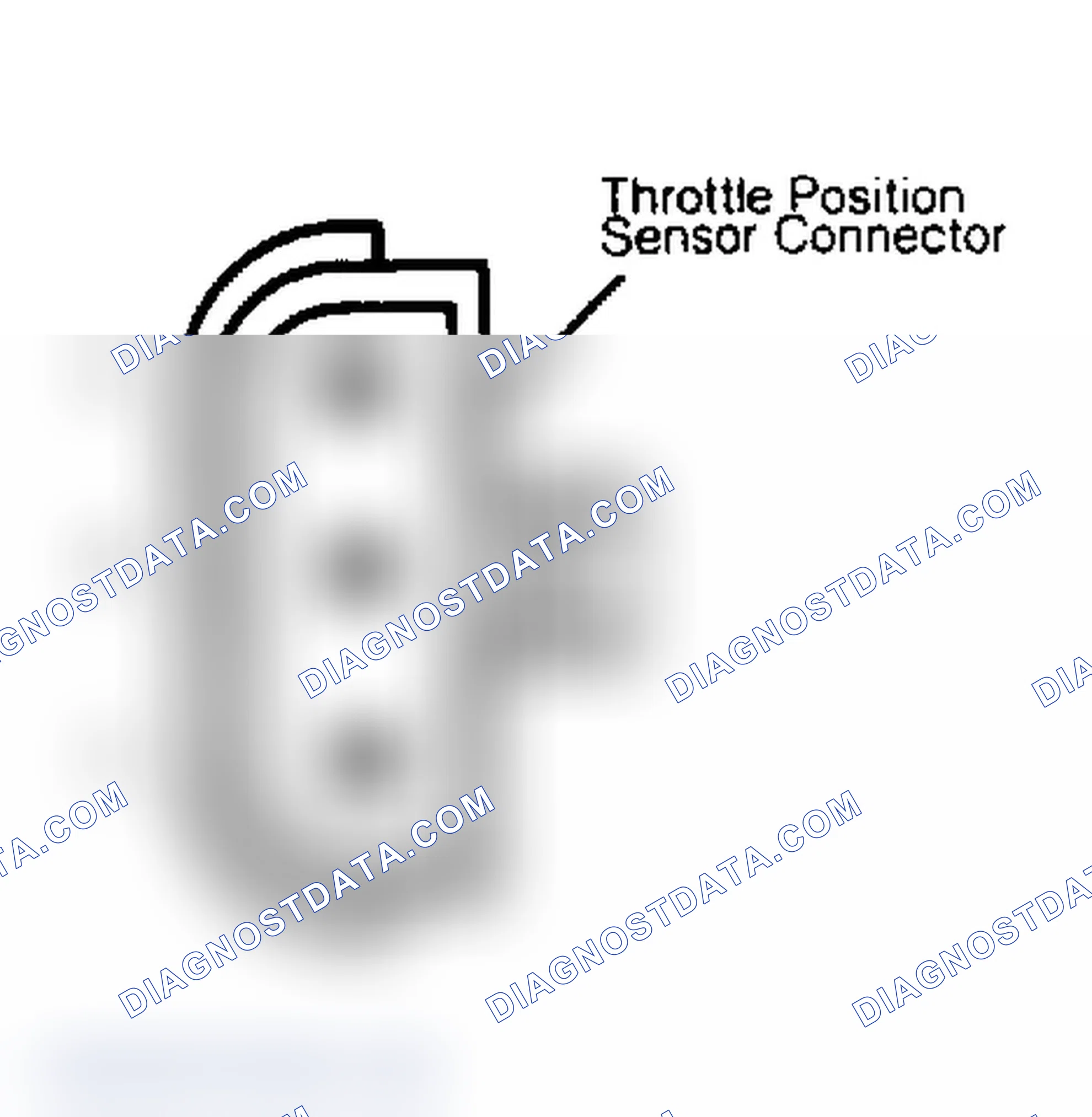 Scheme 39: Throttle Position Sensor Terminal Identification