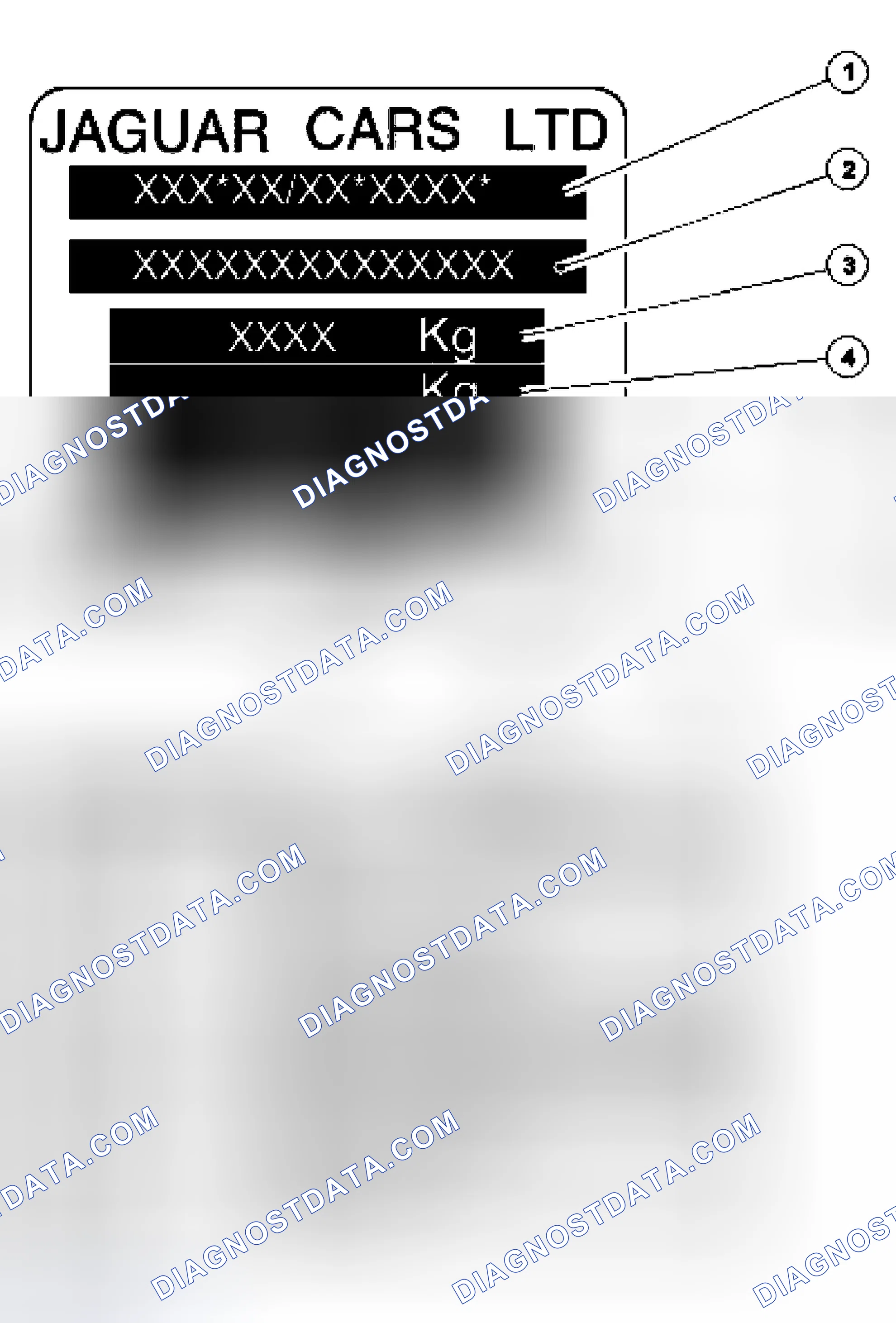 Scheme 9: VIN Label (Europe and Rest of world)