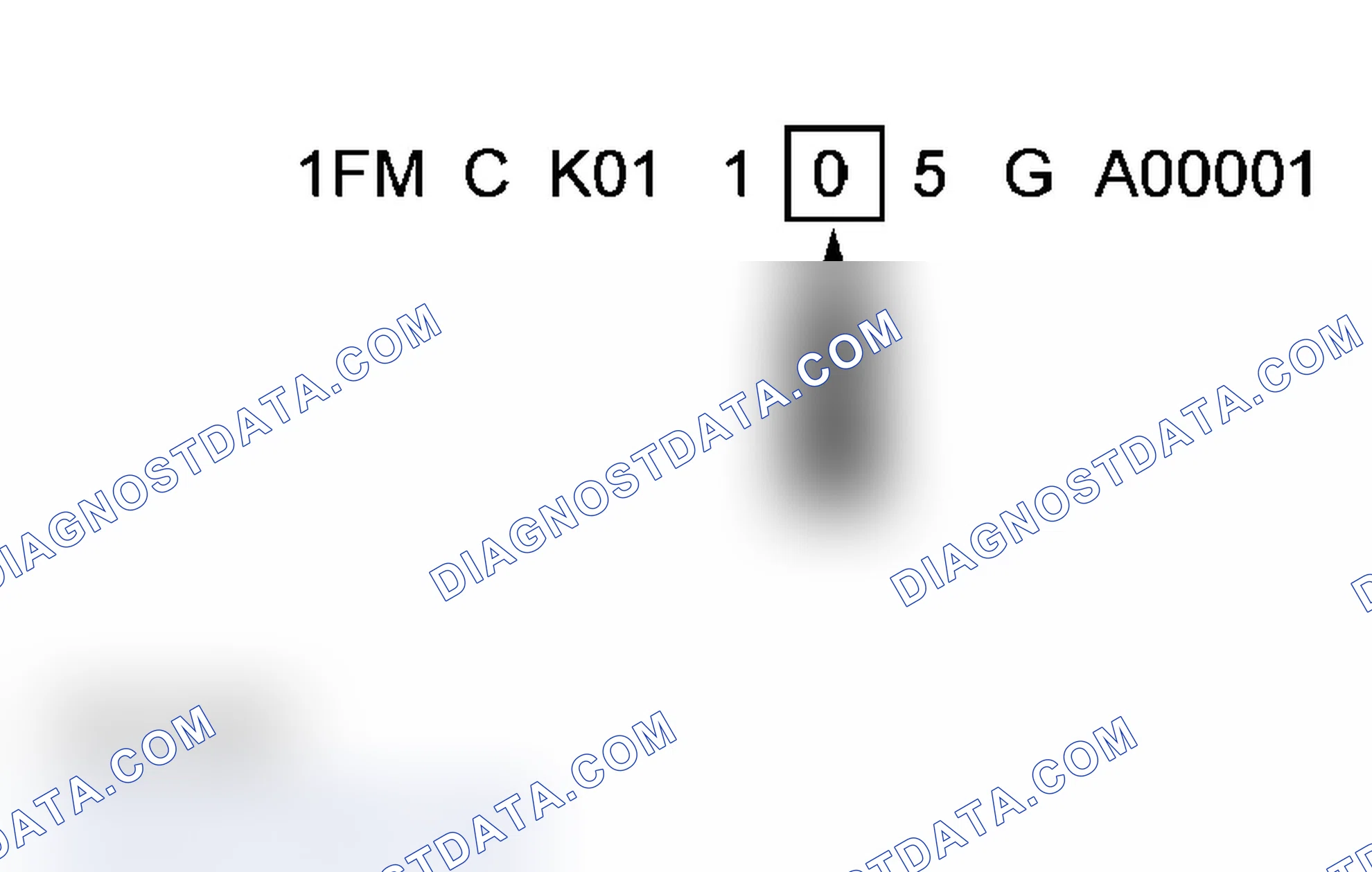 Scheme 17: Check Digit