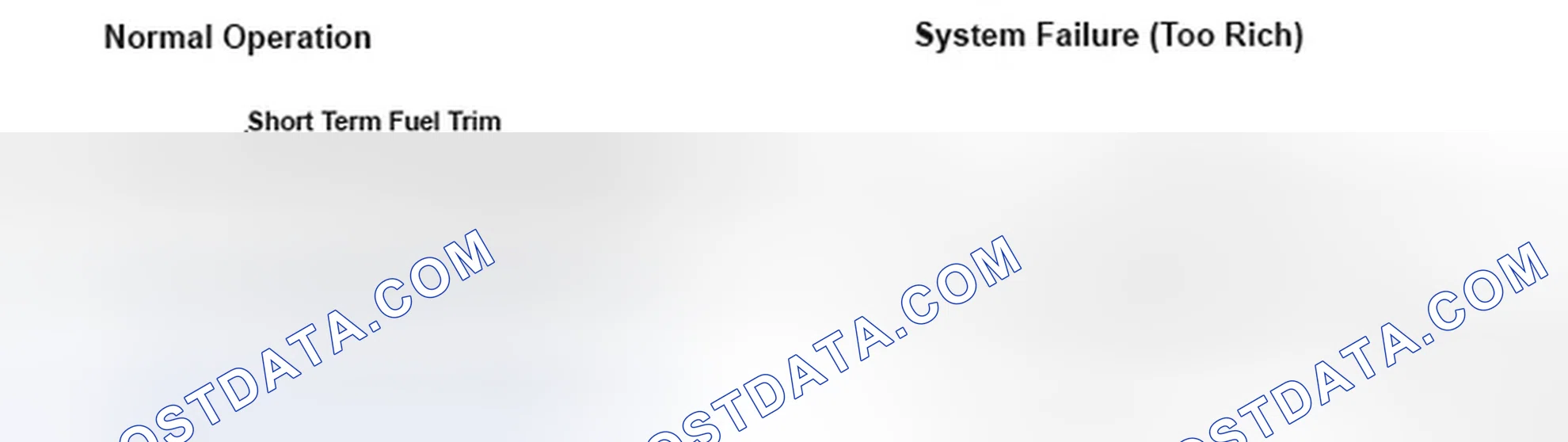 Scheme 237: DTC P0172: Fuel System Too Rich