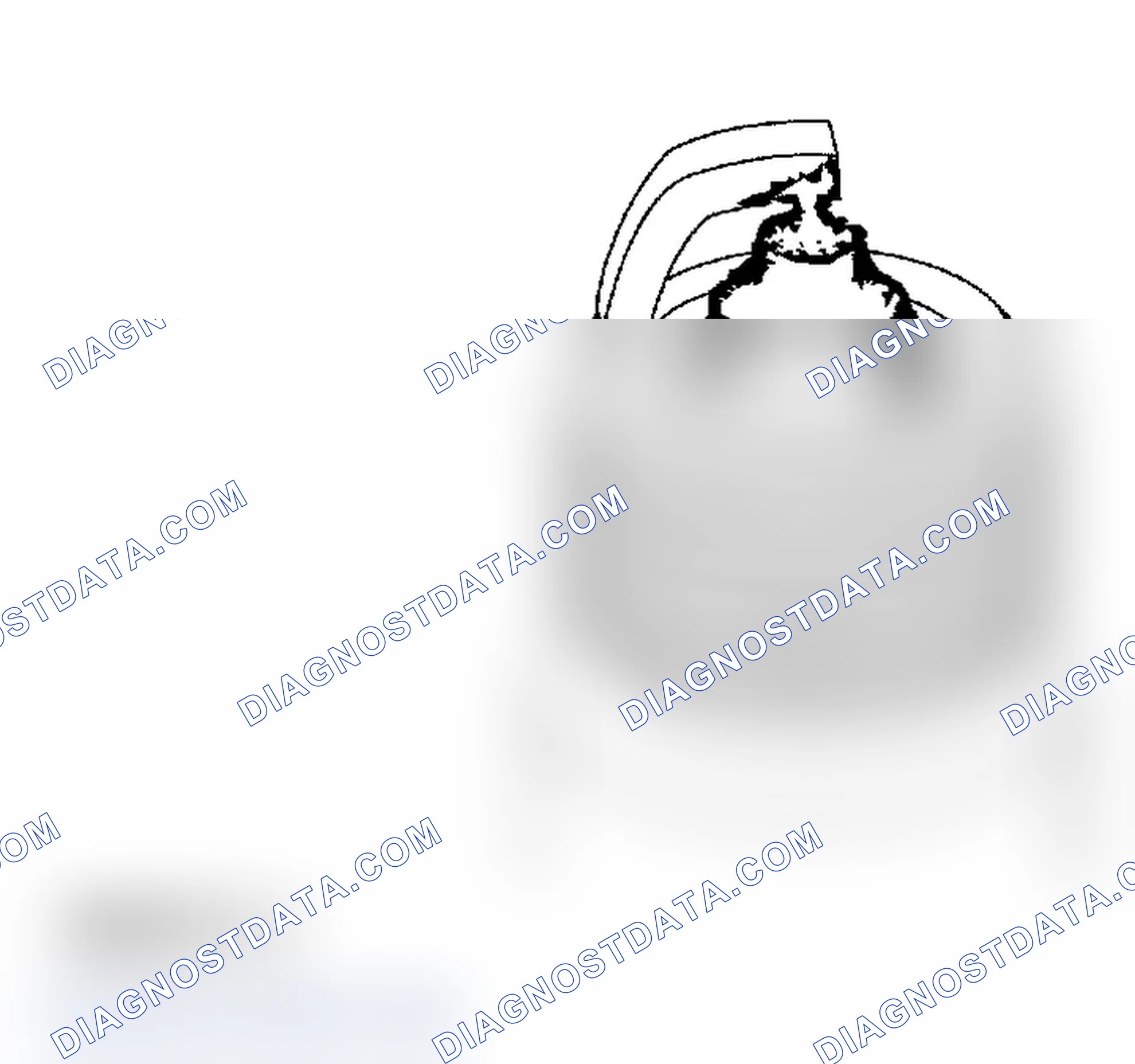 Scheme 505: Spark Plug Inspection
