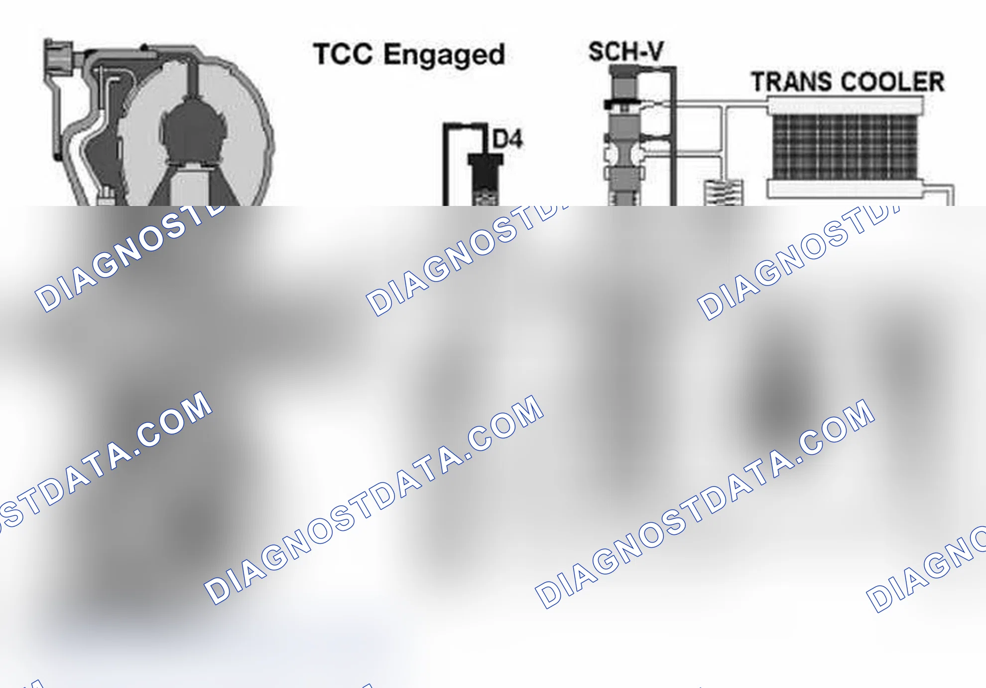 Scheme 358