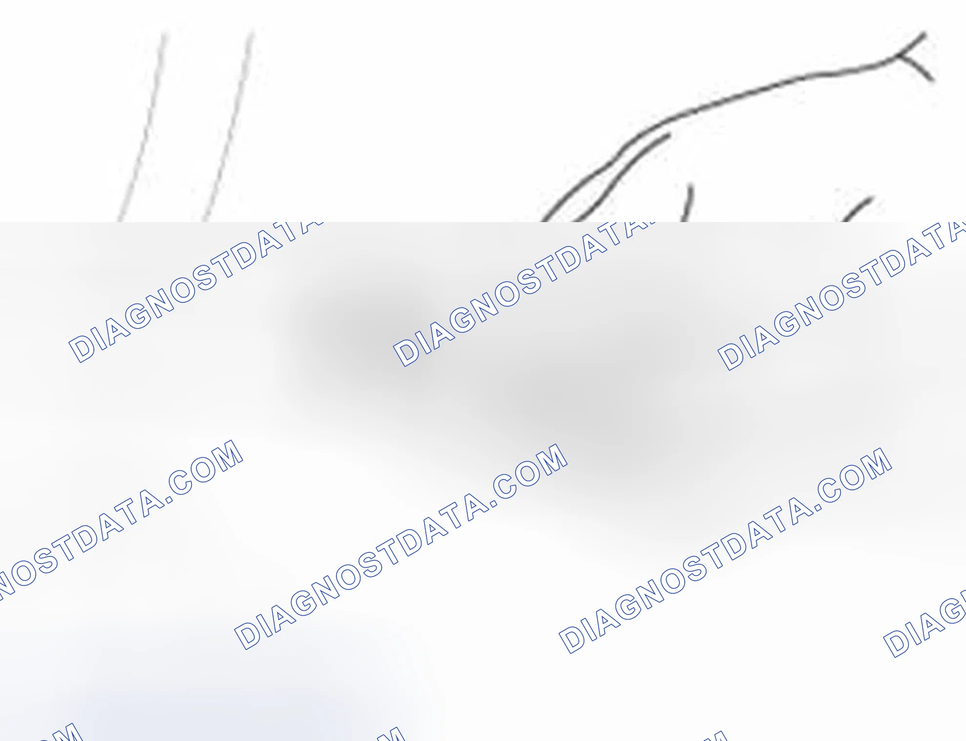 Scheme 222: Inspection