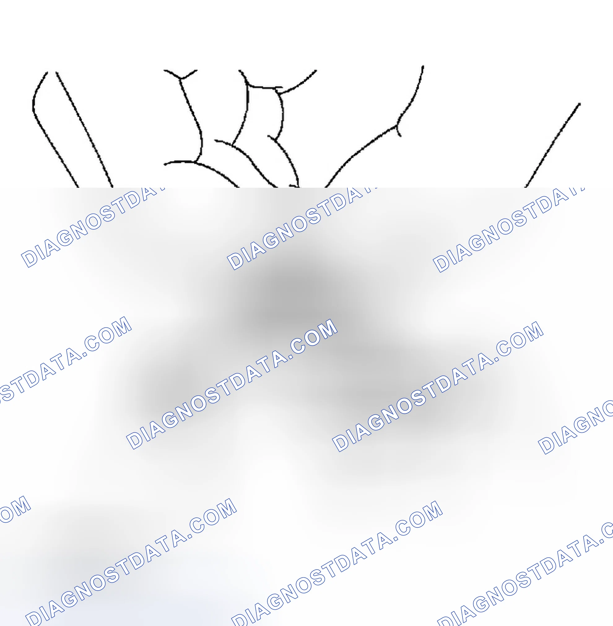 Scheme 1: CHECKING RADIATOR CAP
