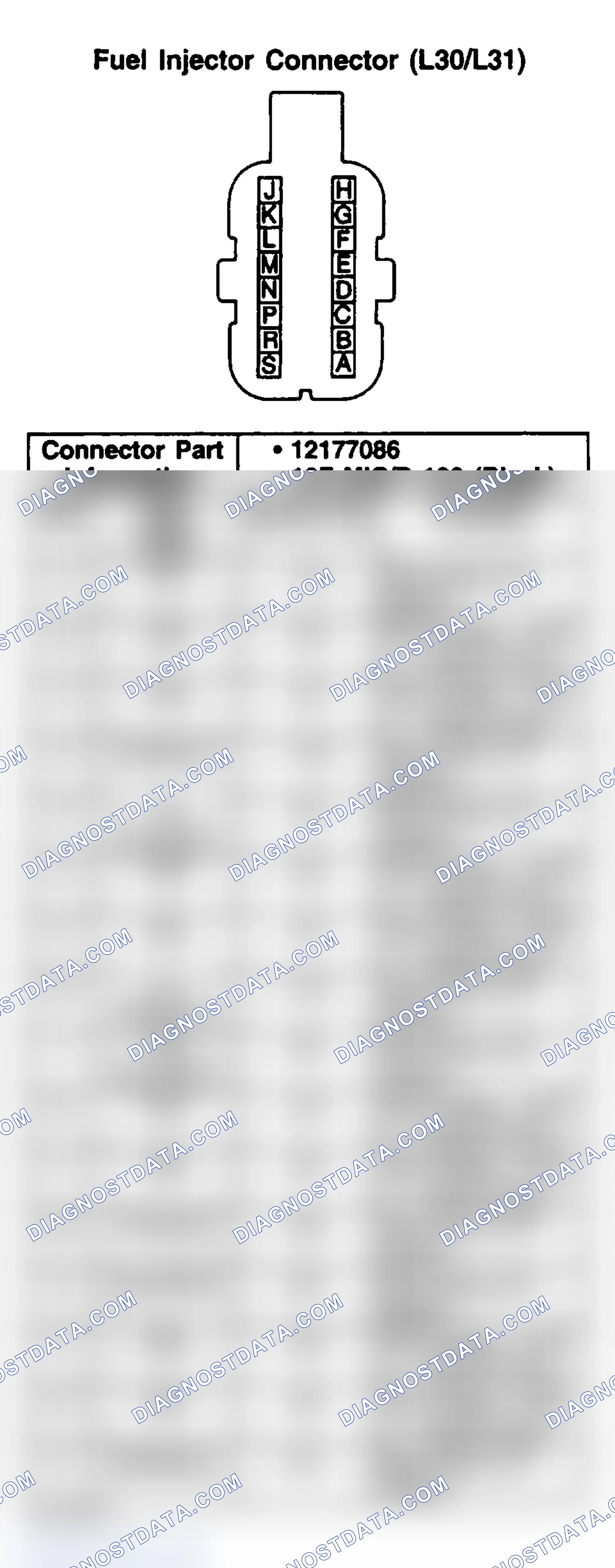 Scheme 157: FUEL INJECTOR (L30/L31)