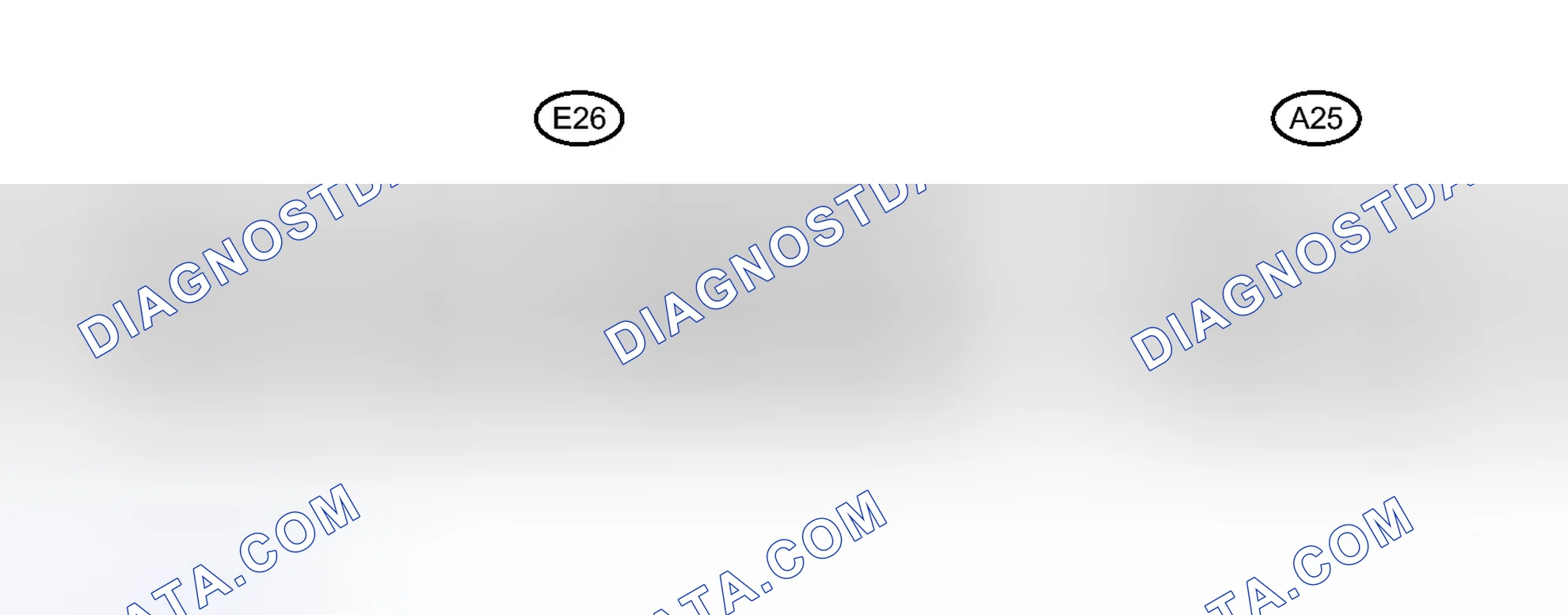Scheme 1: TERMINALS OF ECM