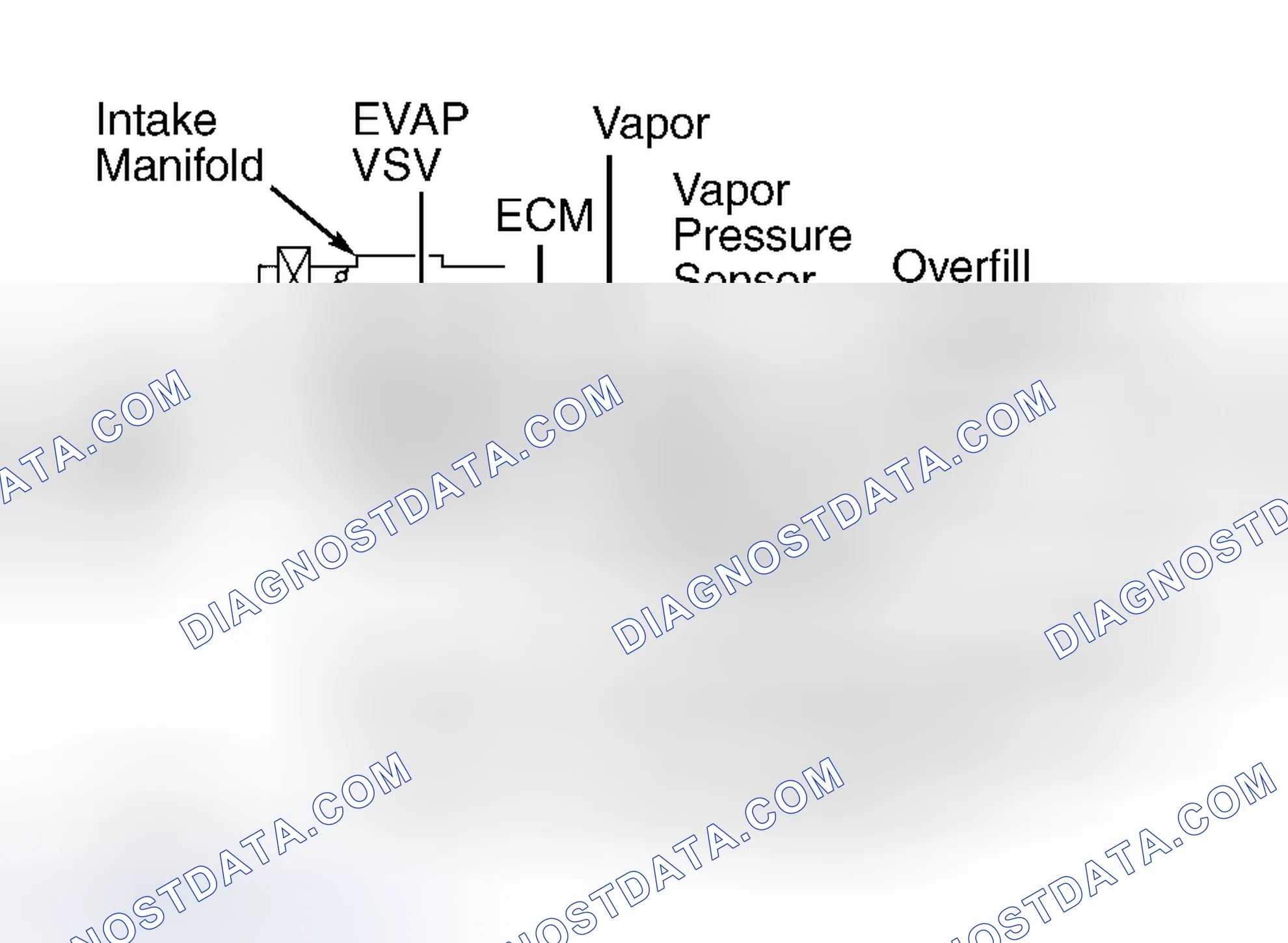 Scheme 66: Avalon, Camry 2.2L 4-Cyl. Gasoline Models, Camry 3.0L V6, Camry Solara, Celica, Corolla, ECHO, Highl