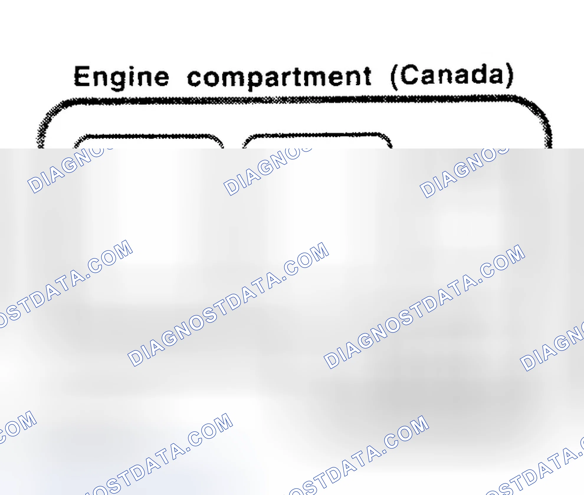 Scheme 4