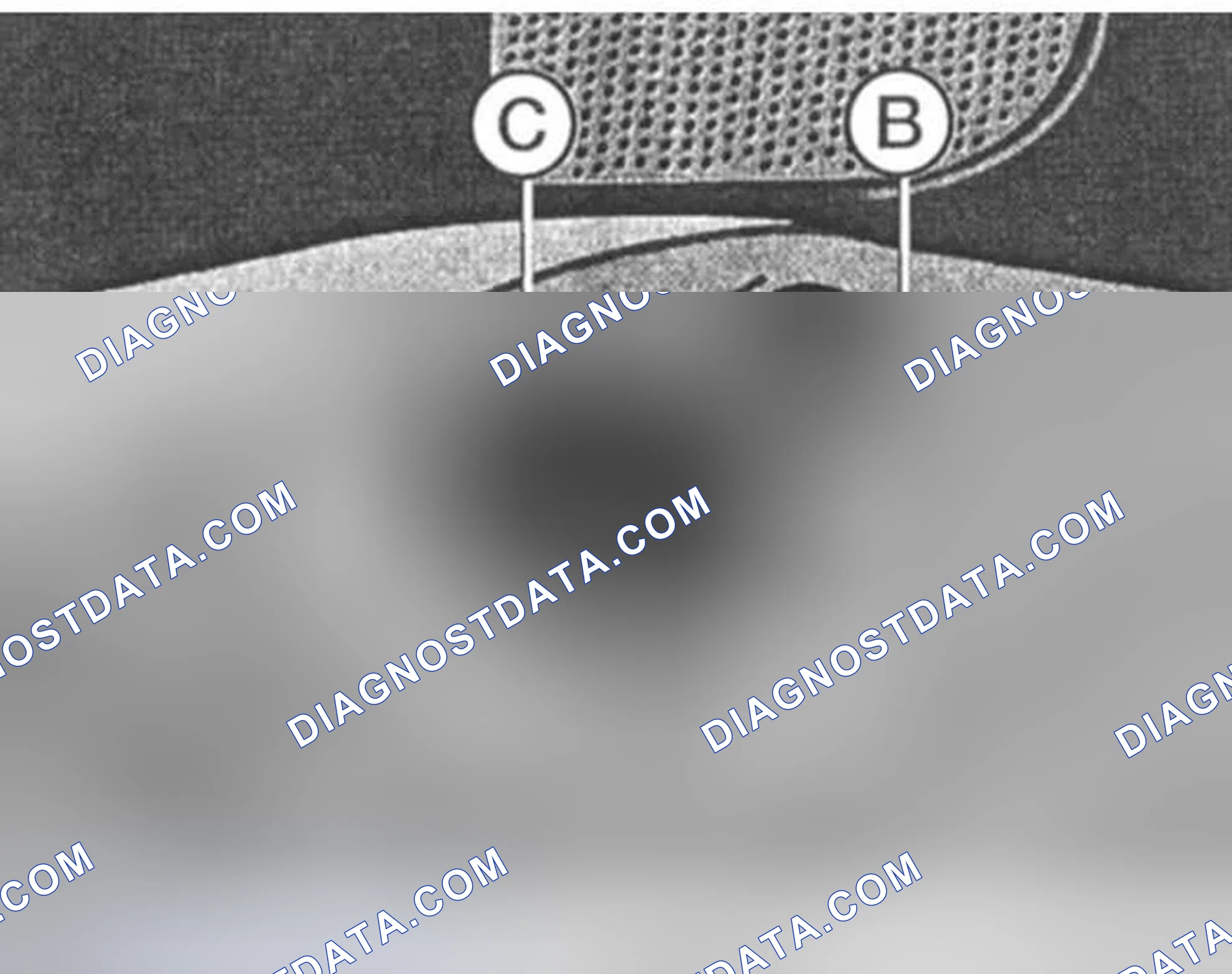 Scheme 21: Automatic Day/Night Outside Mirrors