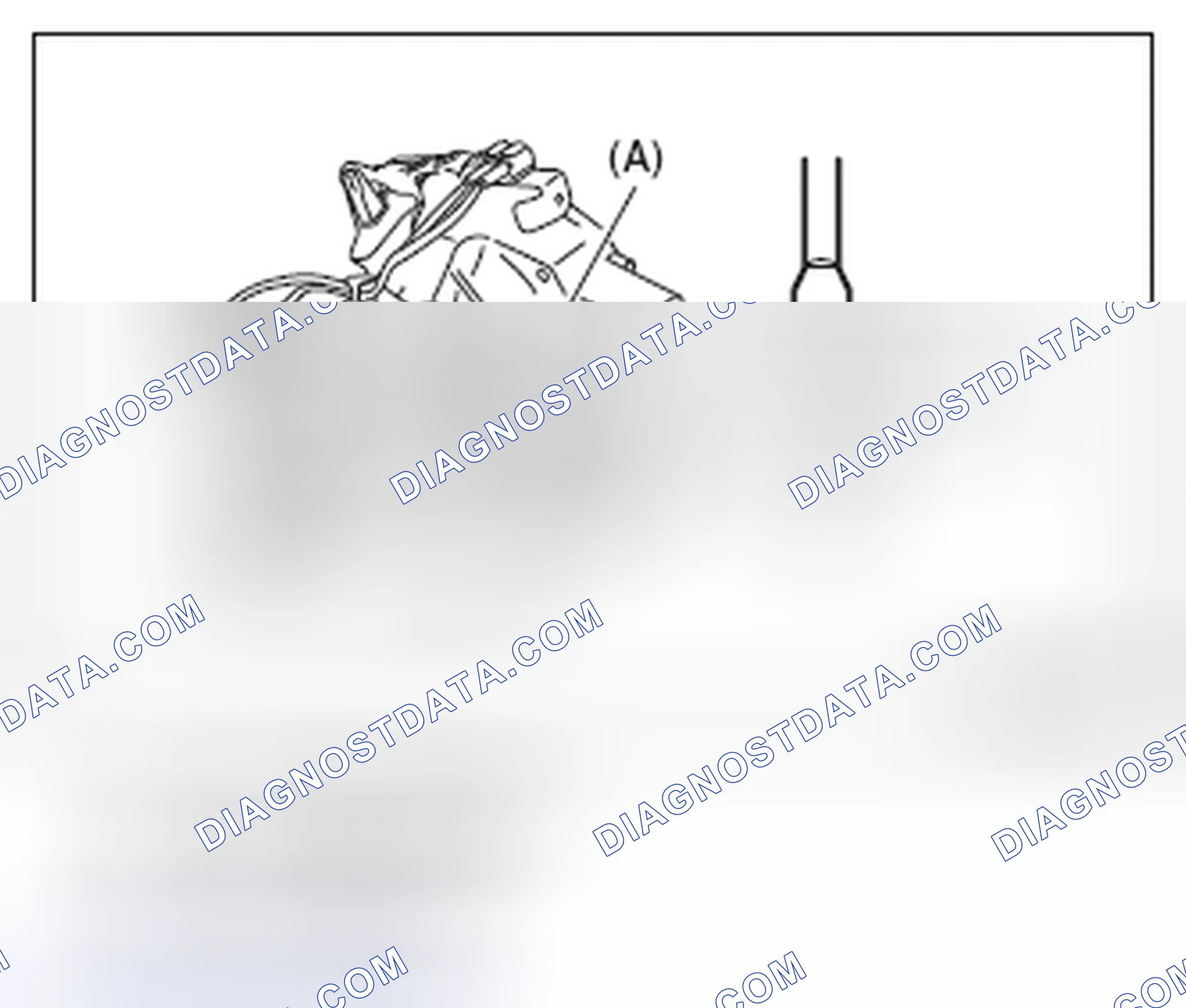 Scheme 81