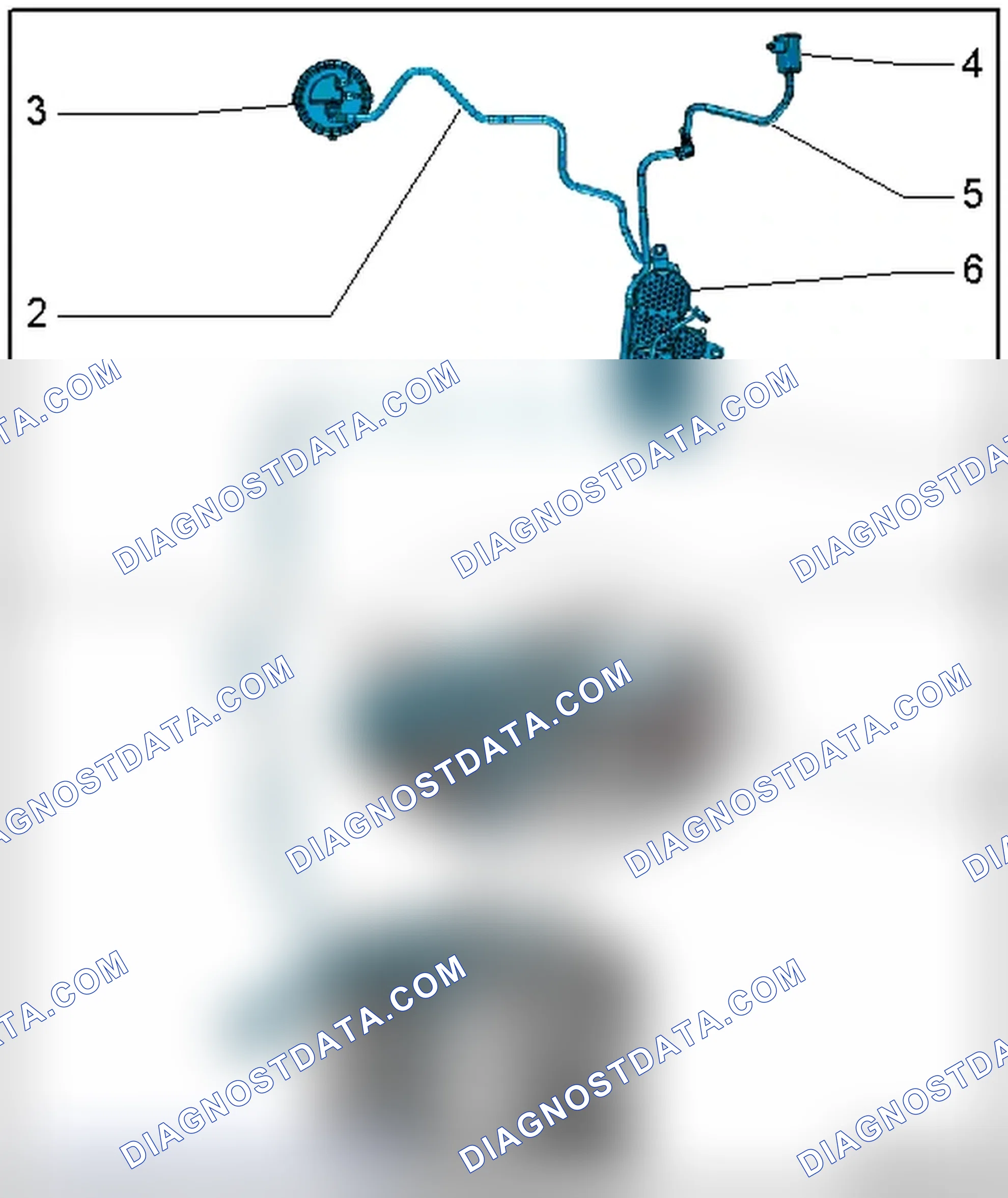Scheme 13: EVAP CANISTER AND LEAK DETECTION SYSTEM HOSE DIAGRAM - ENGINE CODE(S): CAUA & CFSA