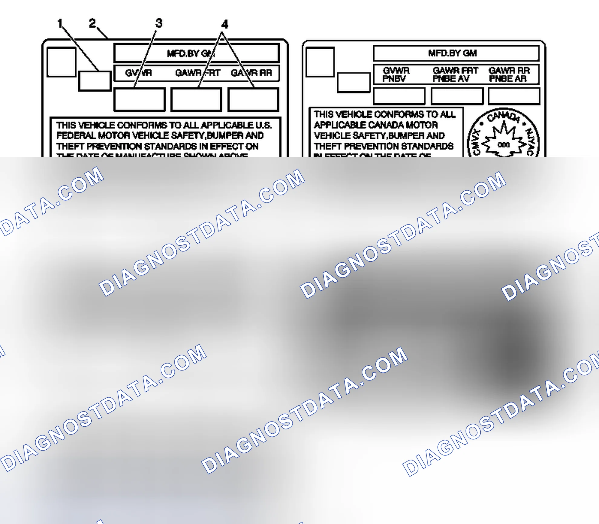 Scheme 4: Vehicle Certification, Tire Placard, Anti-Theft, and Service Parts ID Label