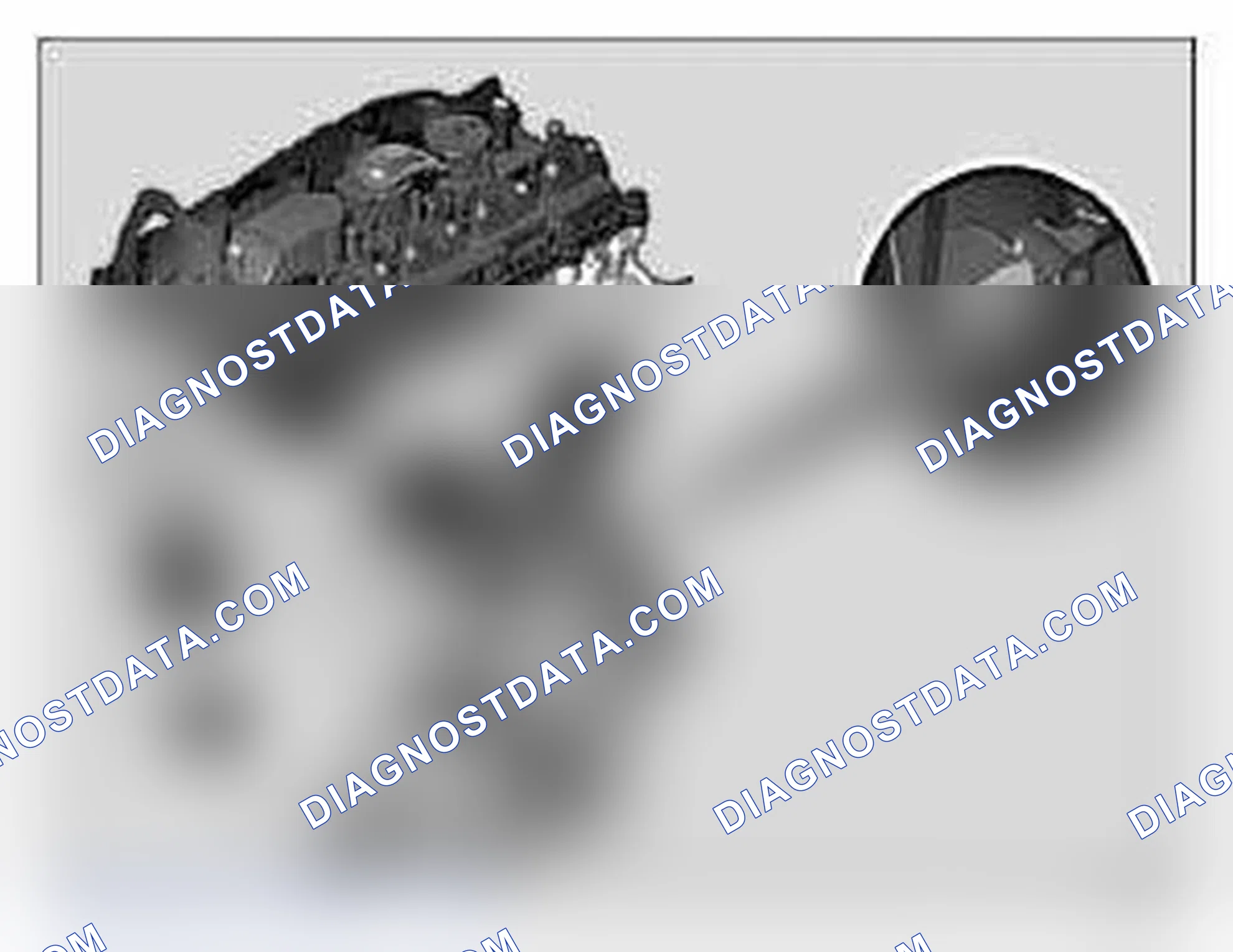 Scheme 389: ENGINE IDENTIFICATION