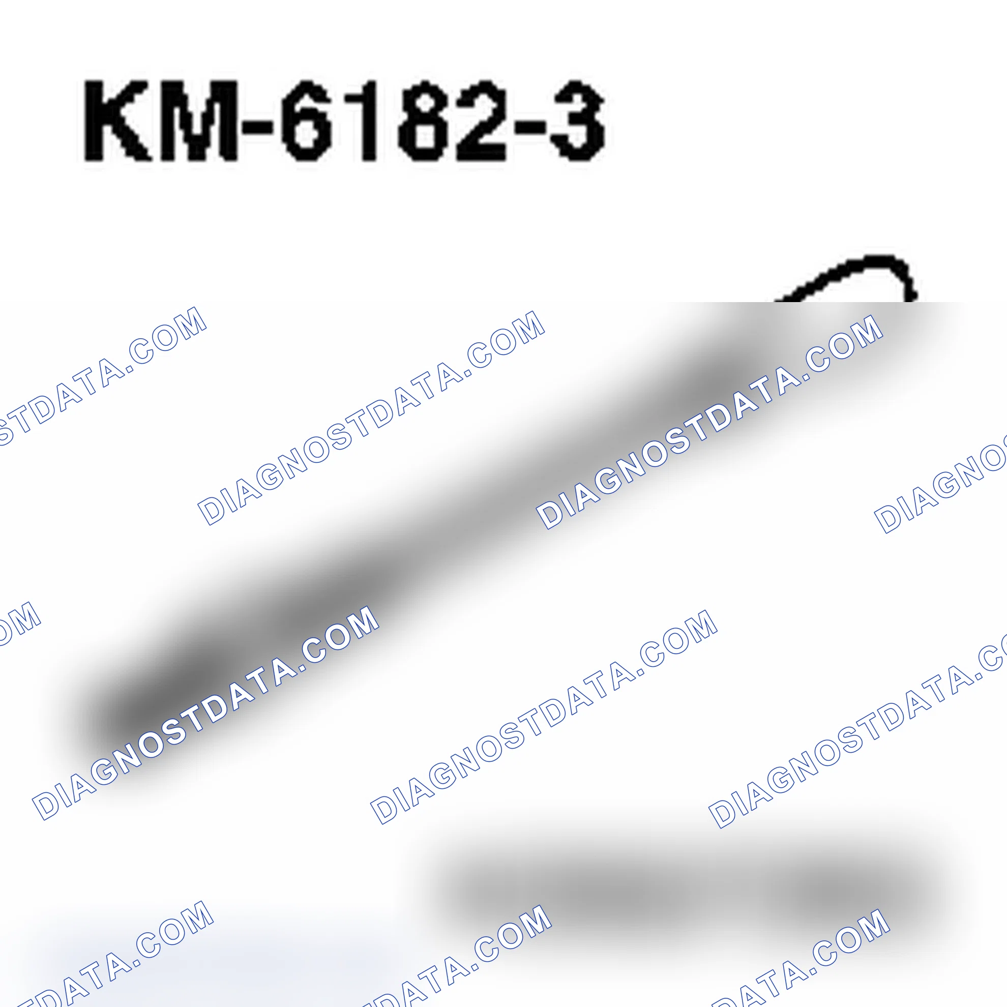 Special Service Tools