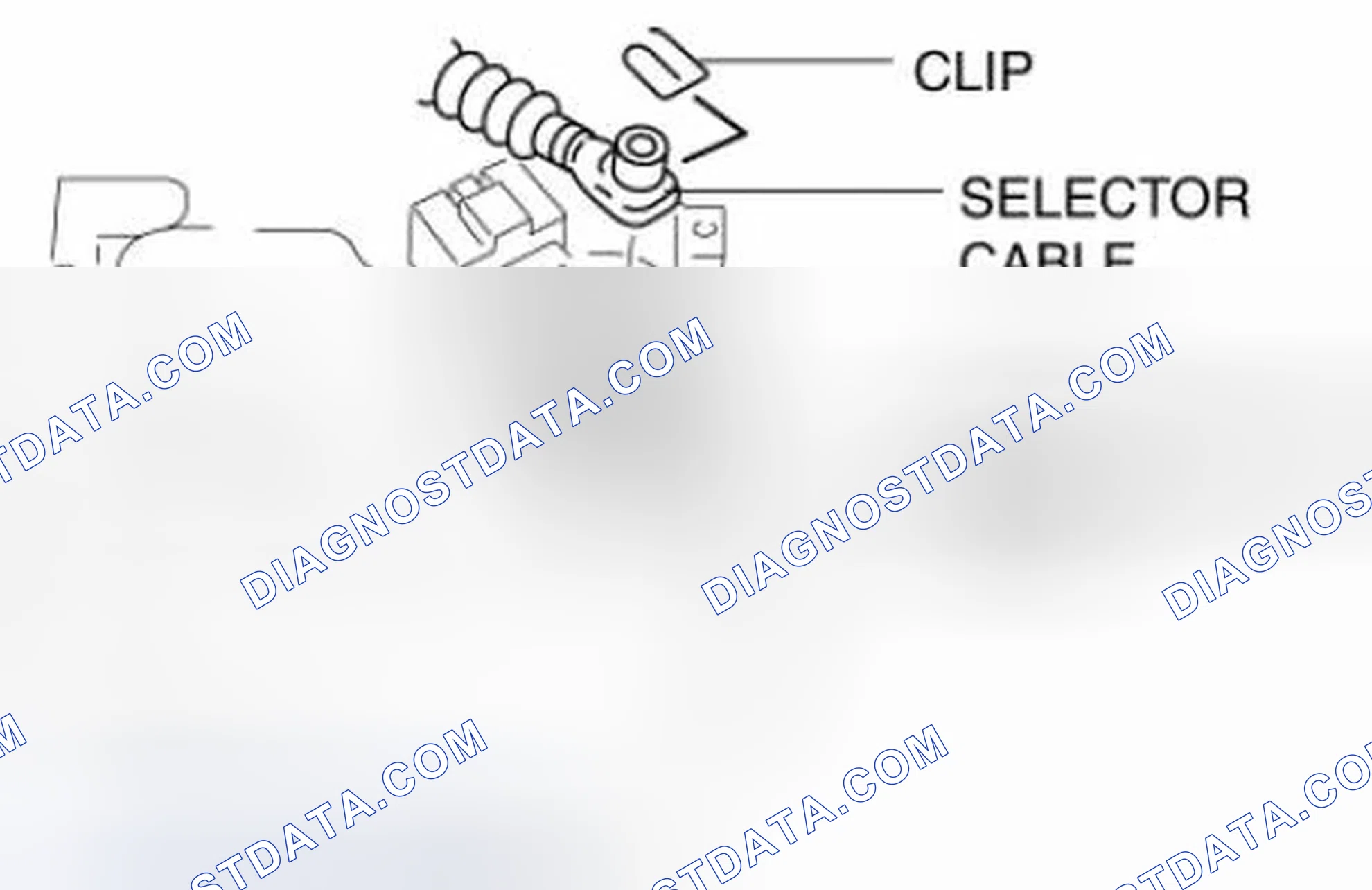 Scheme 481