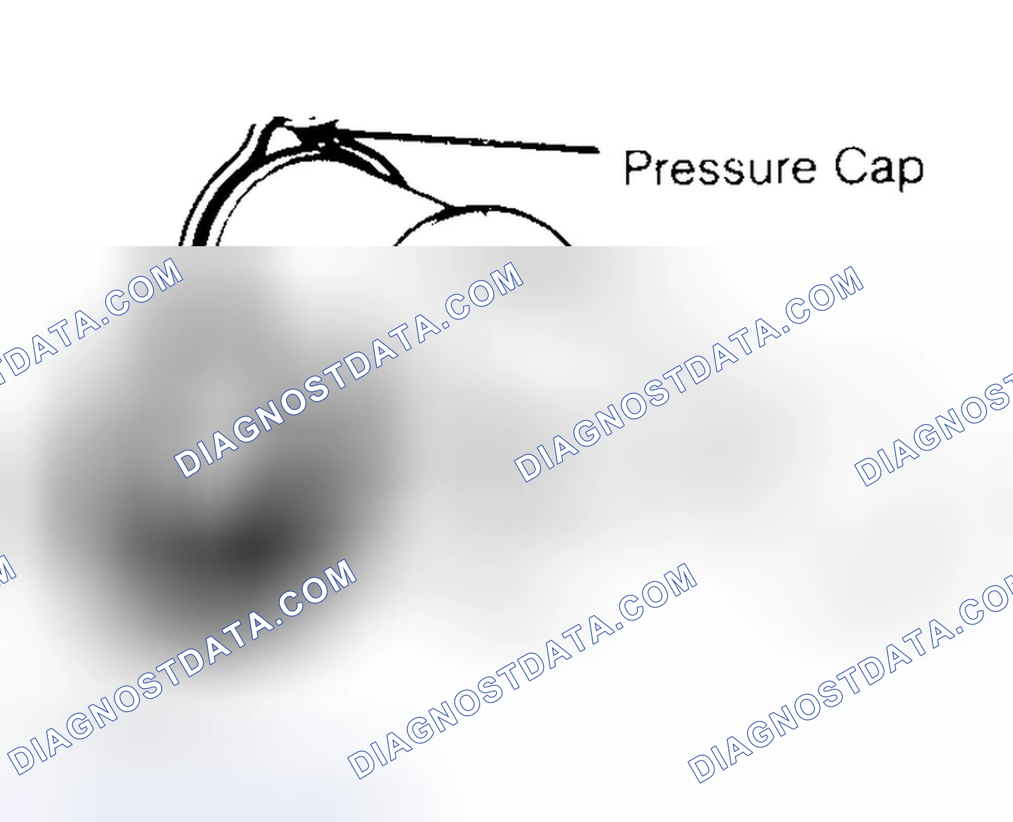 Scheme 2: Pressure Testing Radiator Cap