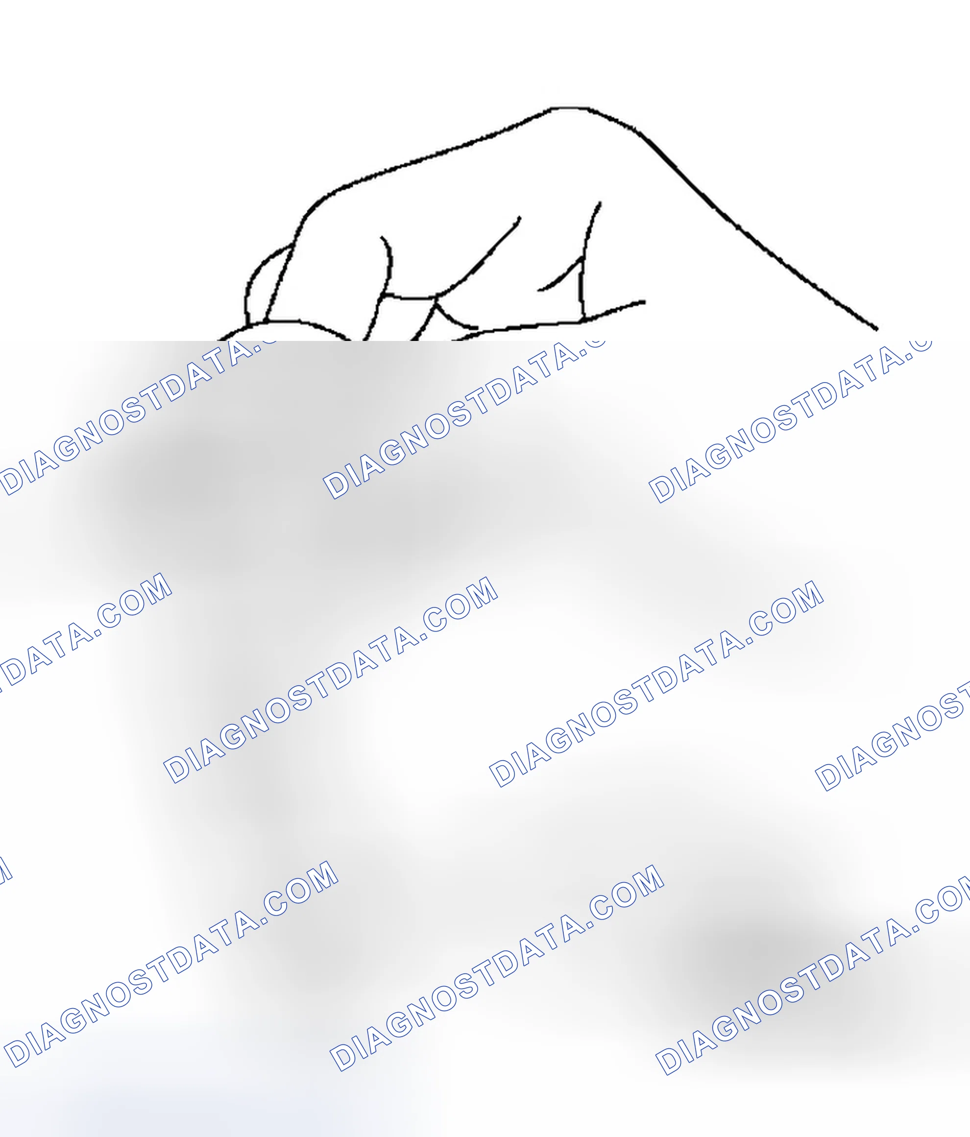 Scheme 1064