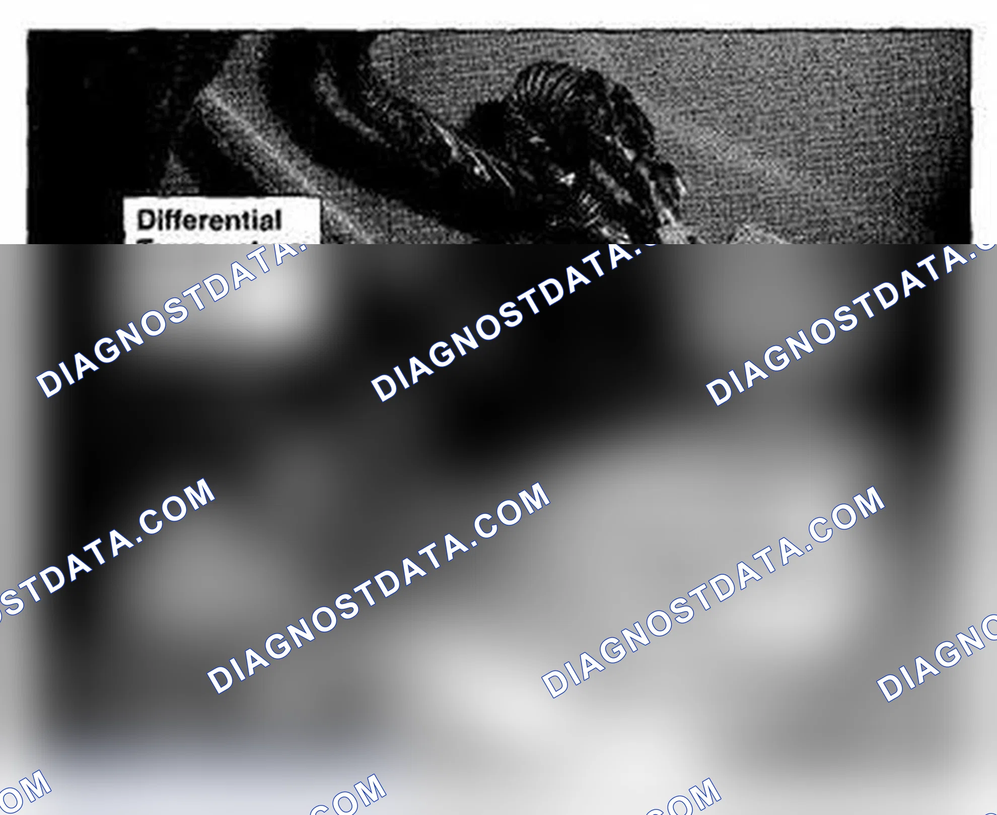 Scheme 618: Rear Differential Component Location (Photo 213)