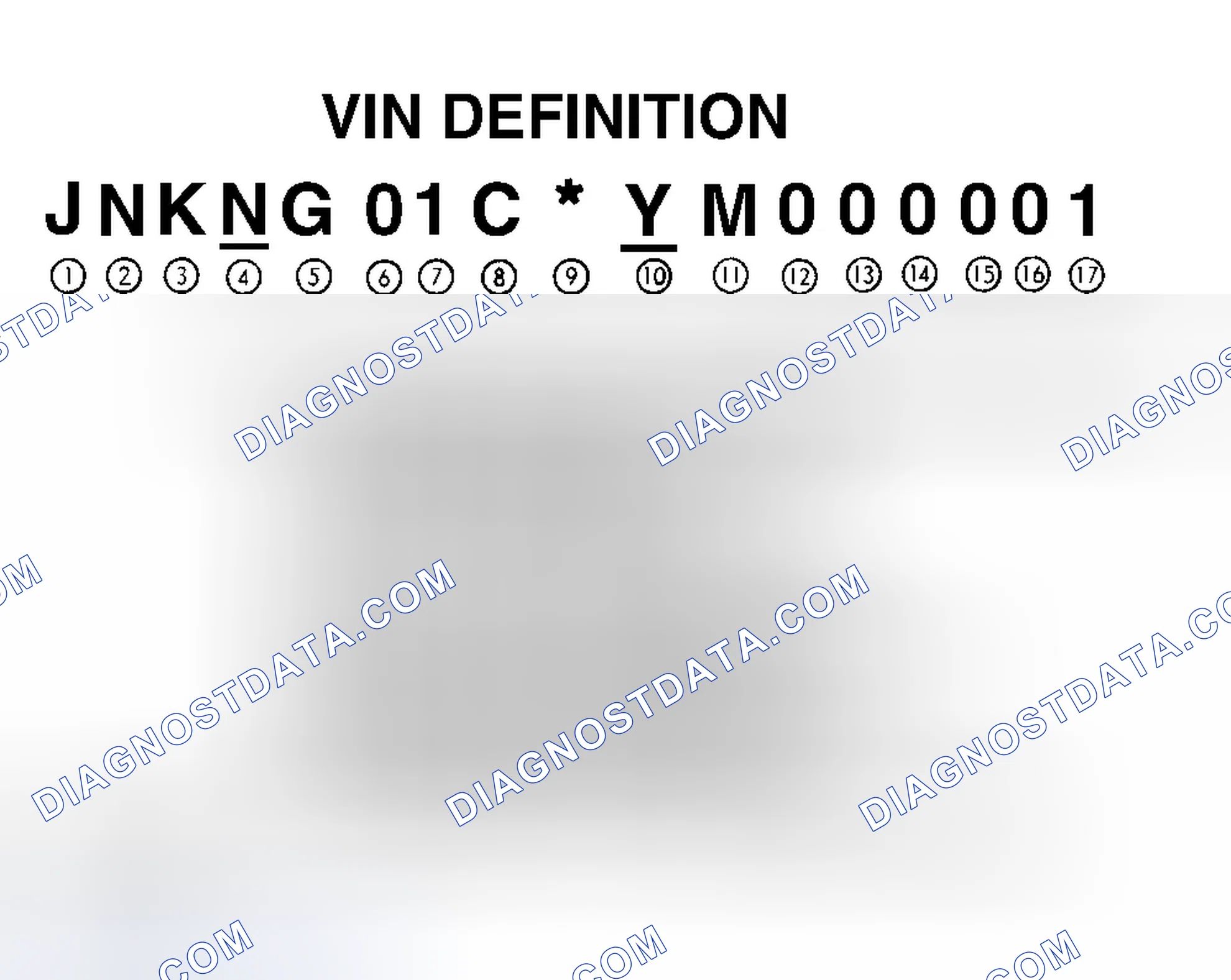 Scheme 4: VIN Definition