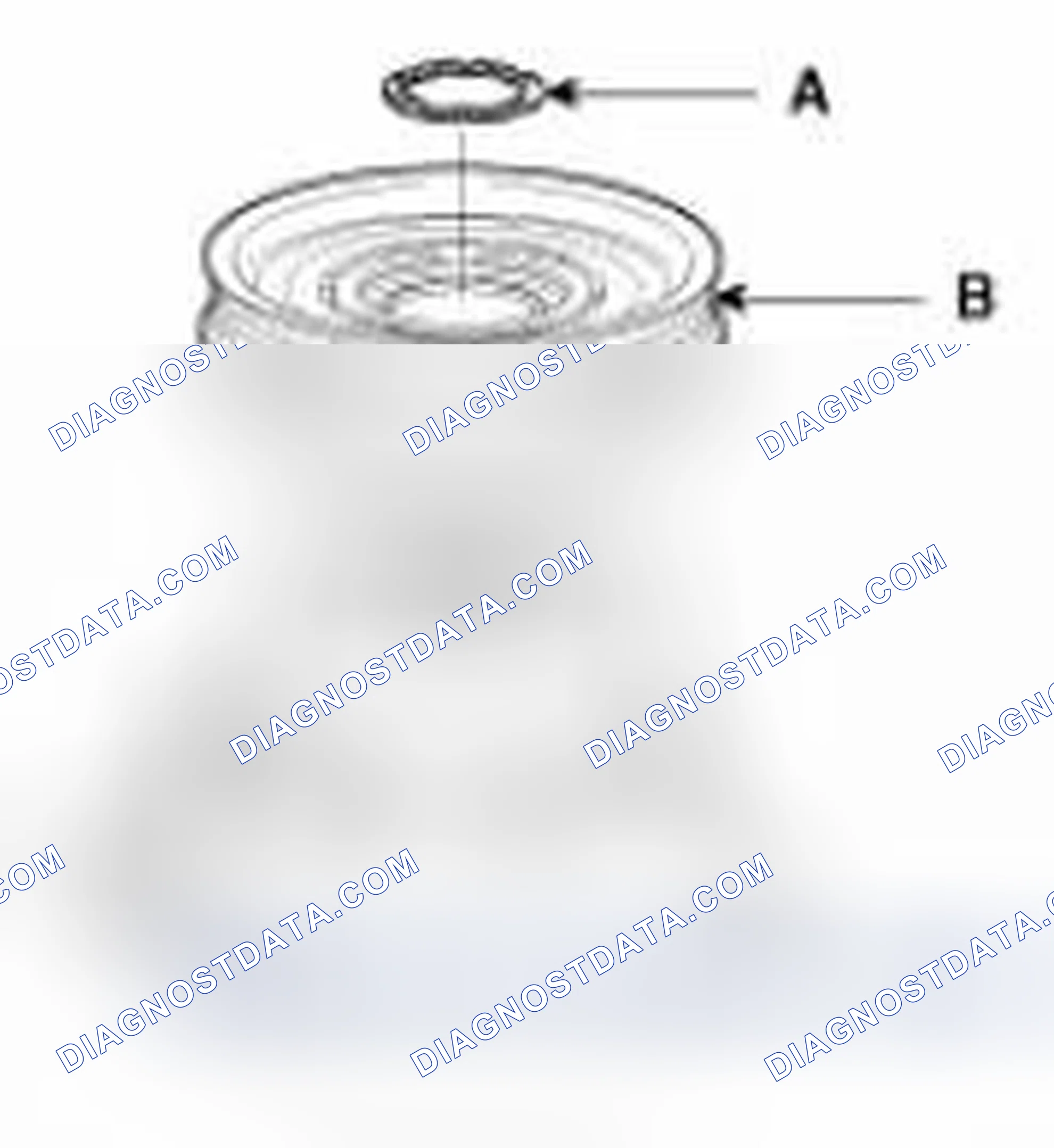 Scheme 36