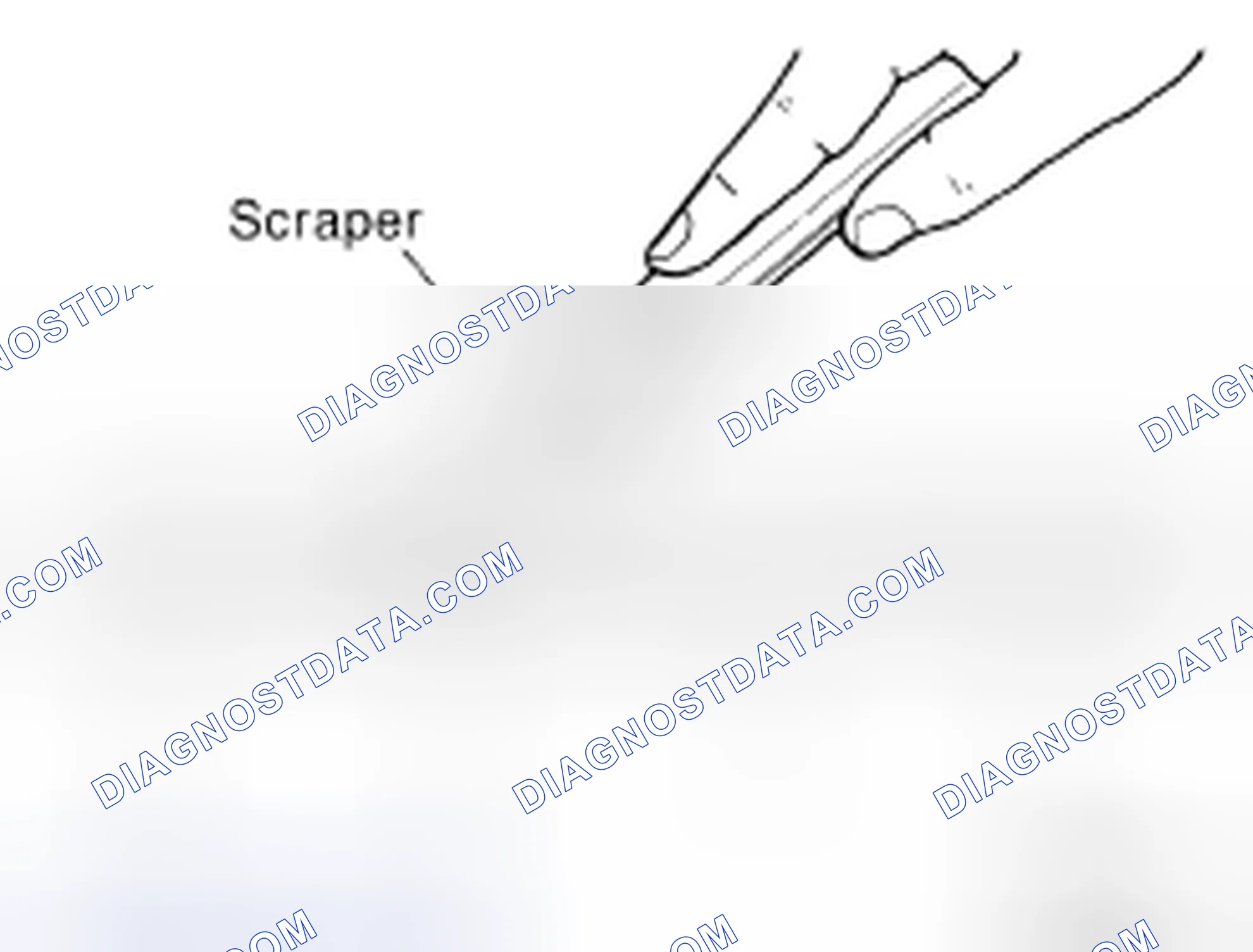 Scheme 2: LIQUID GASKET APPLICATION PROCEDURE