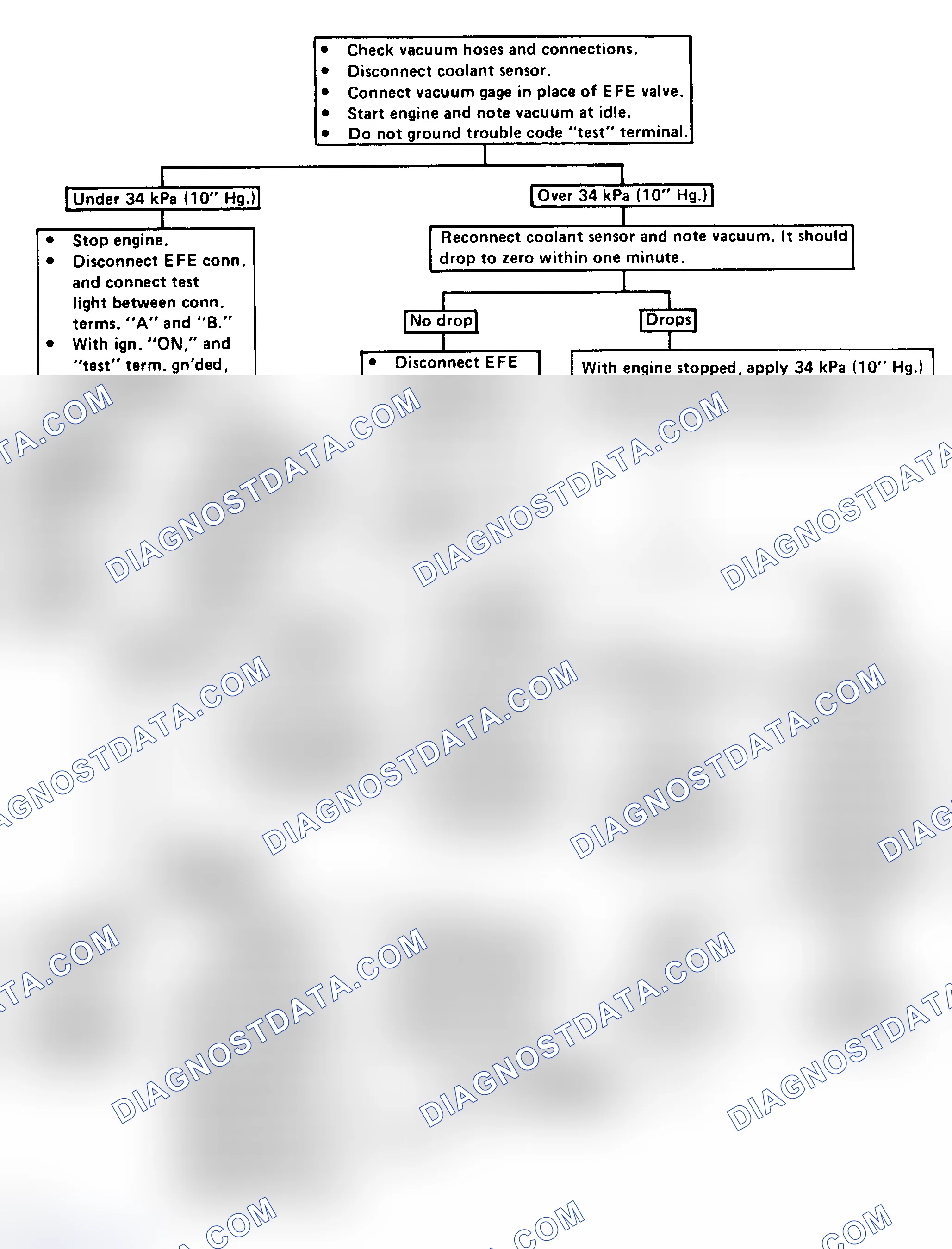 Scheme 101: Flow Chart - EFE (Vacuum Servo) Check