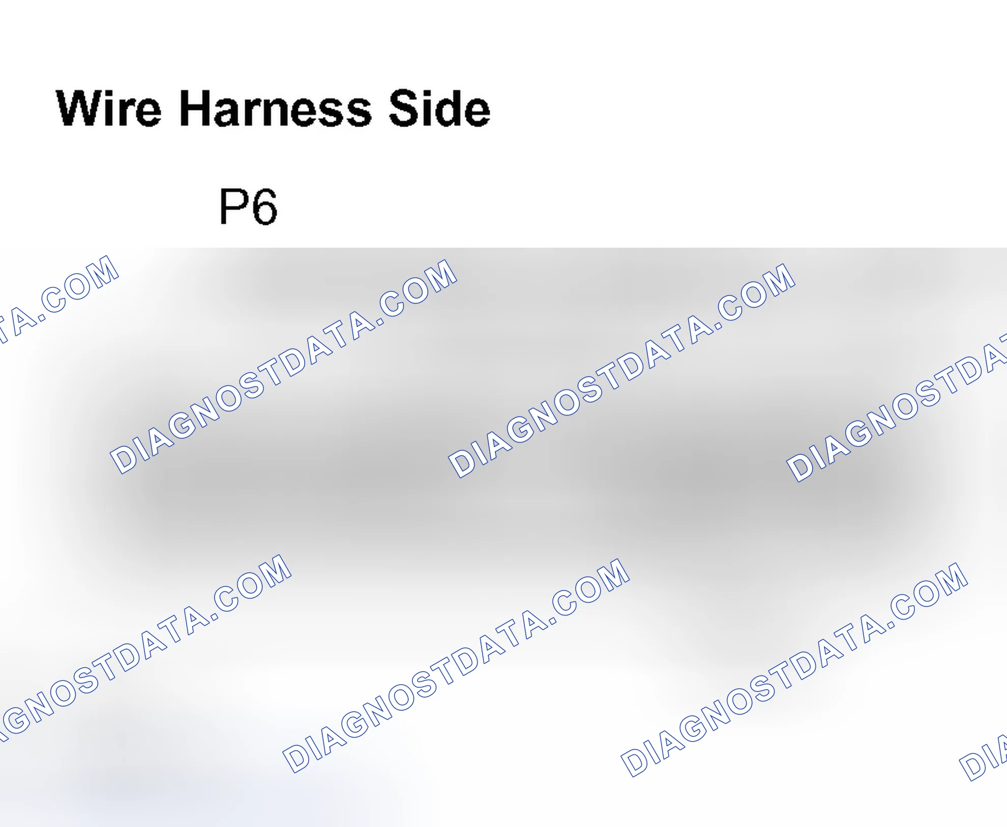 Scheme 16: INSPECTION PROCEDURE