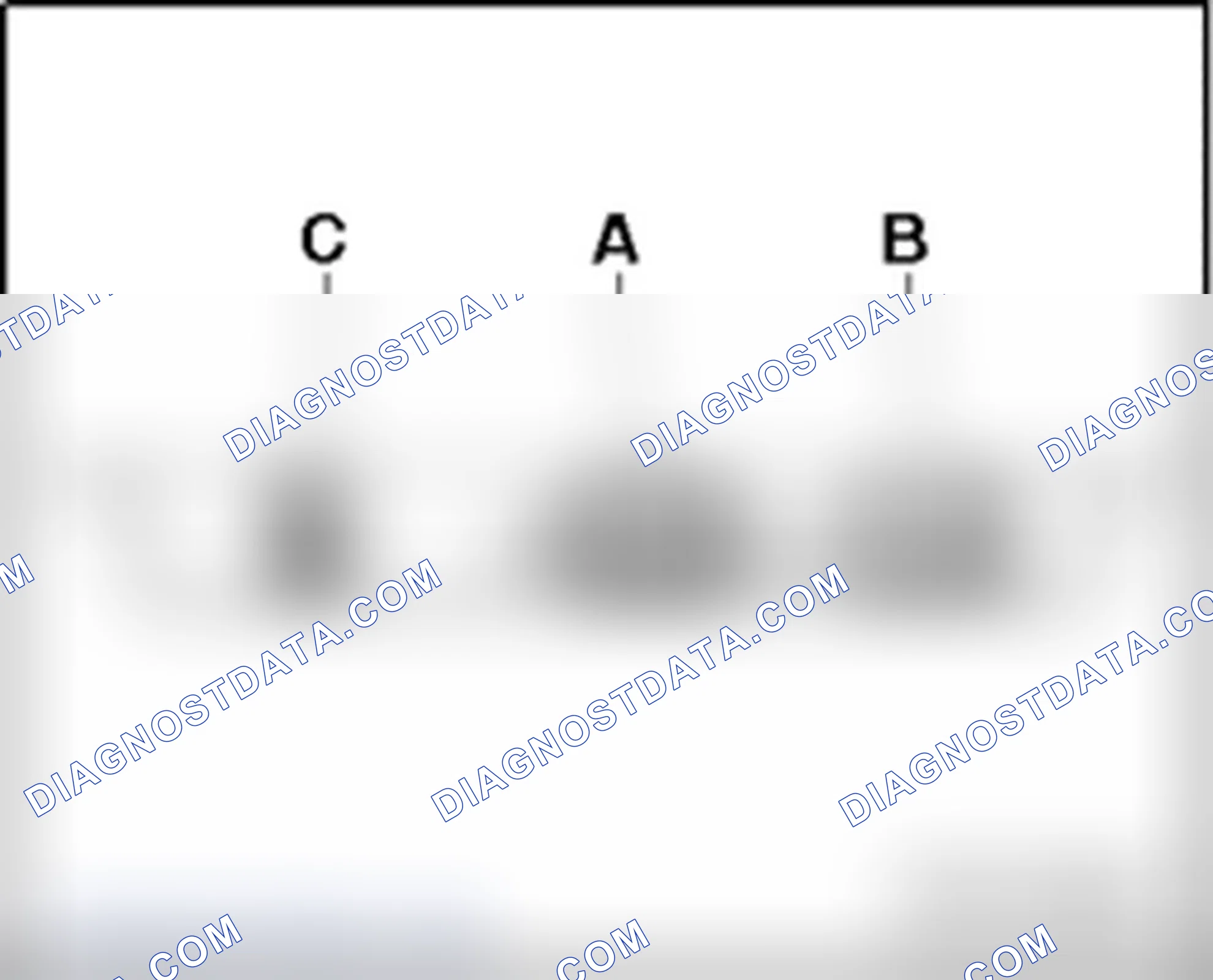 Scheme 47: Digital Radio (DAB) R147 , harness connectors