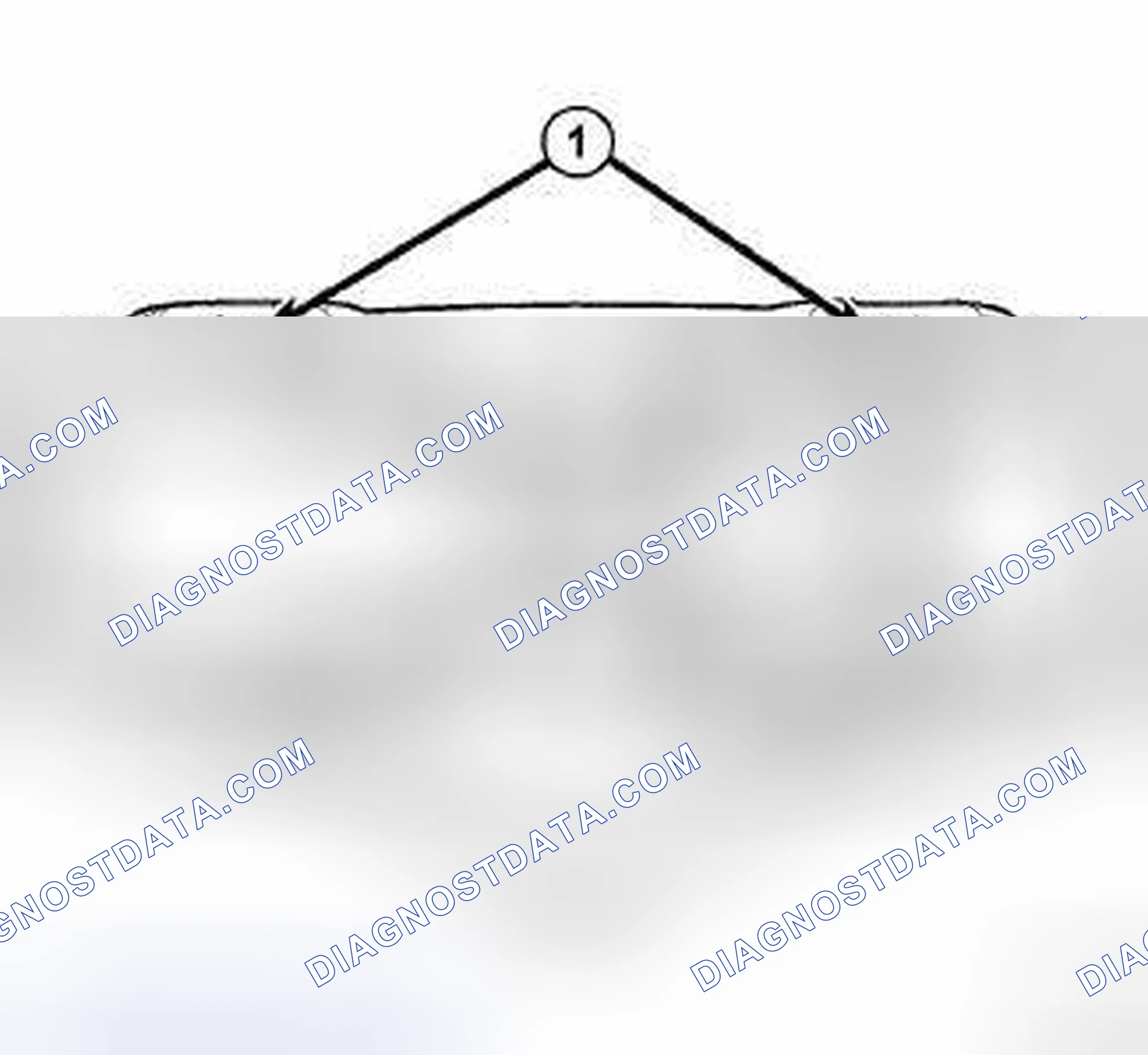 Scheme 2: STANDARD PROCEDURE - HOISTING