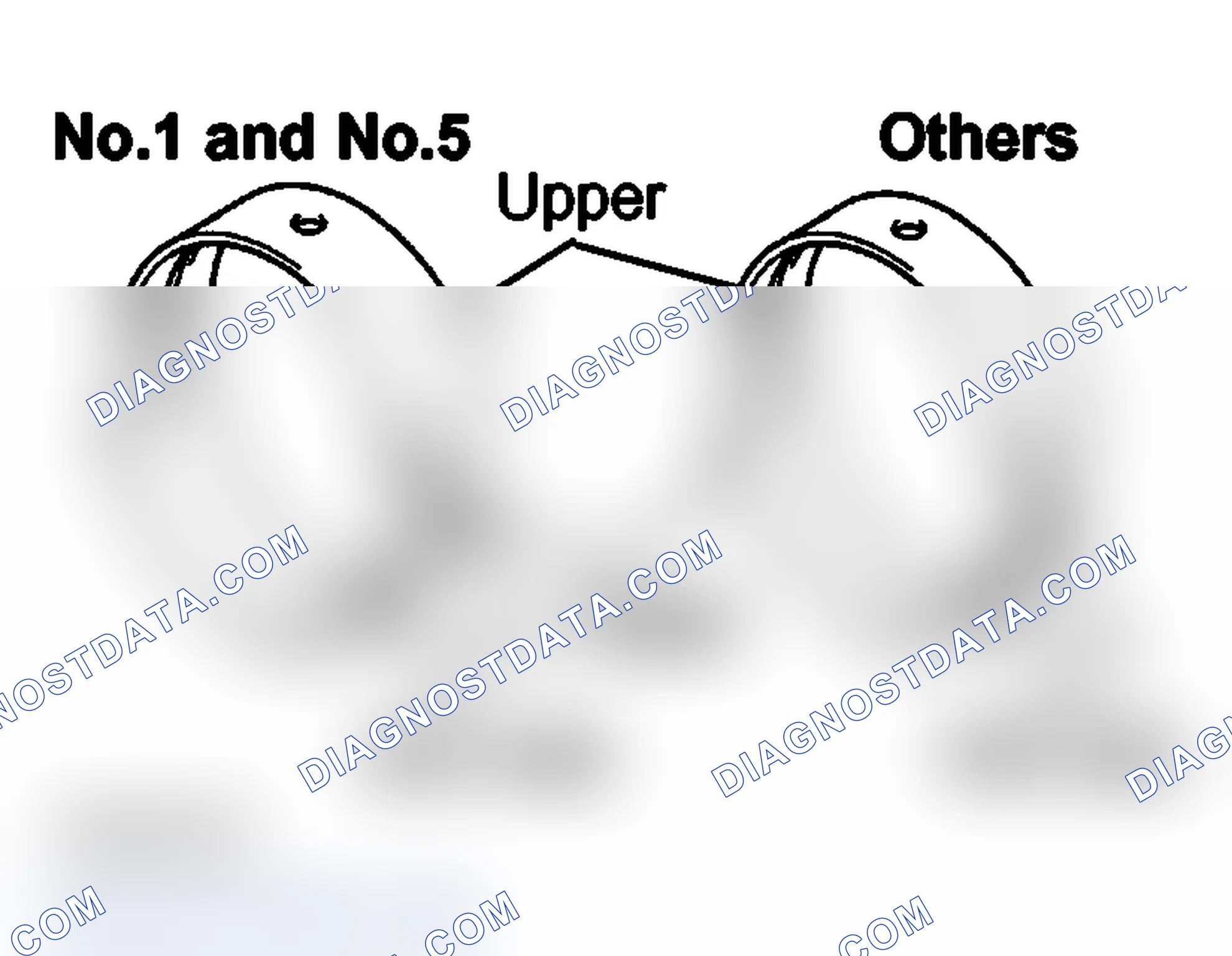 Scheme 313