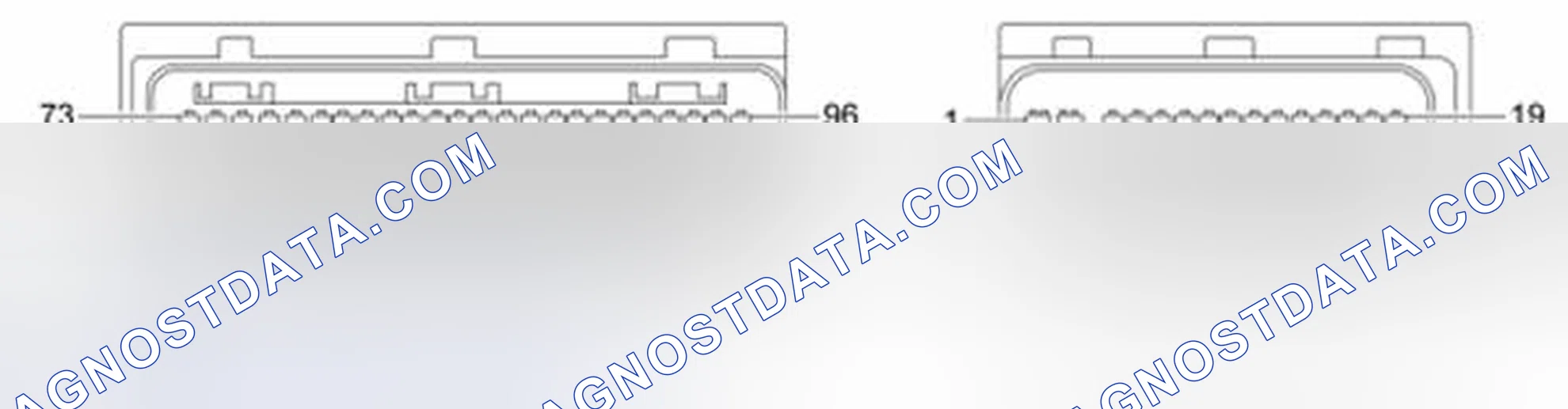 Scheme 113: 2.0L 4V Focus