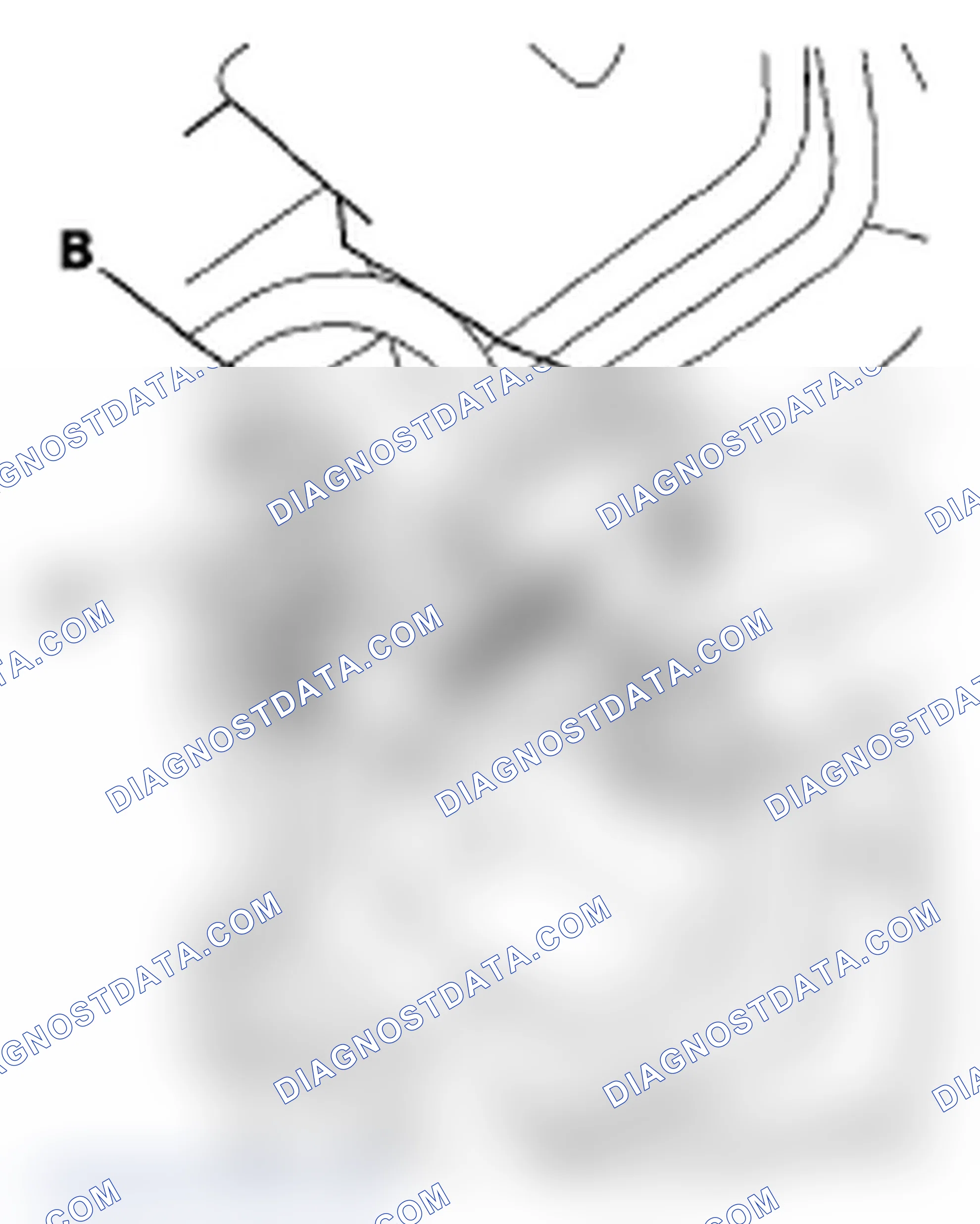 Scheme 55