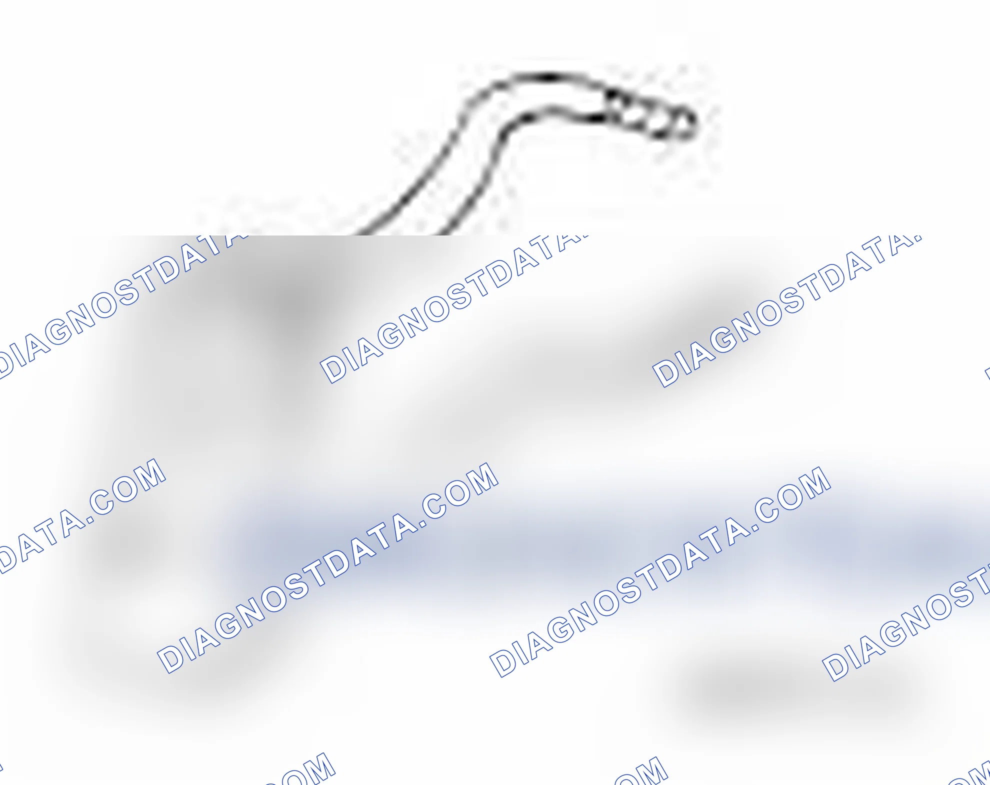 Scheme 39: SPECIAL TOOL