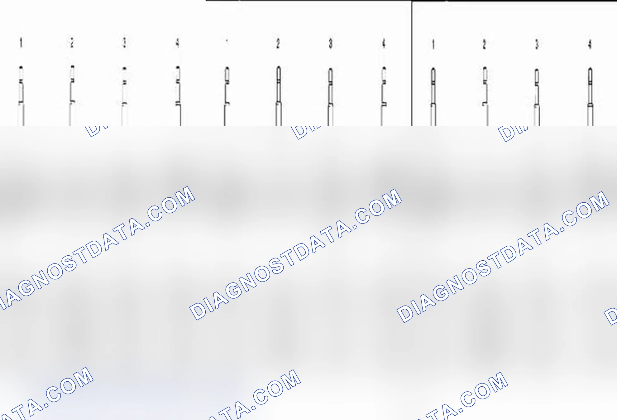 Scheme 5: Strut and Shock Absorber Inspection