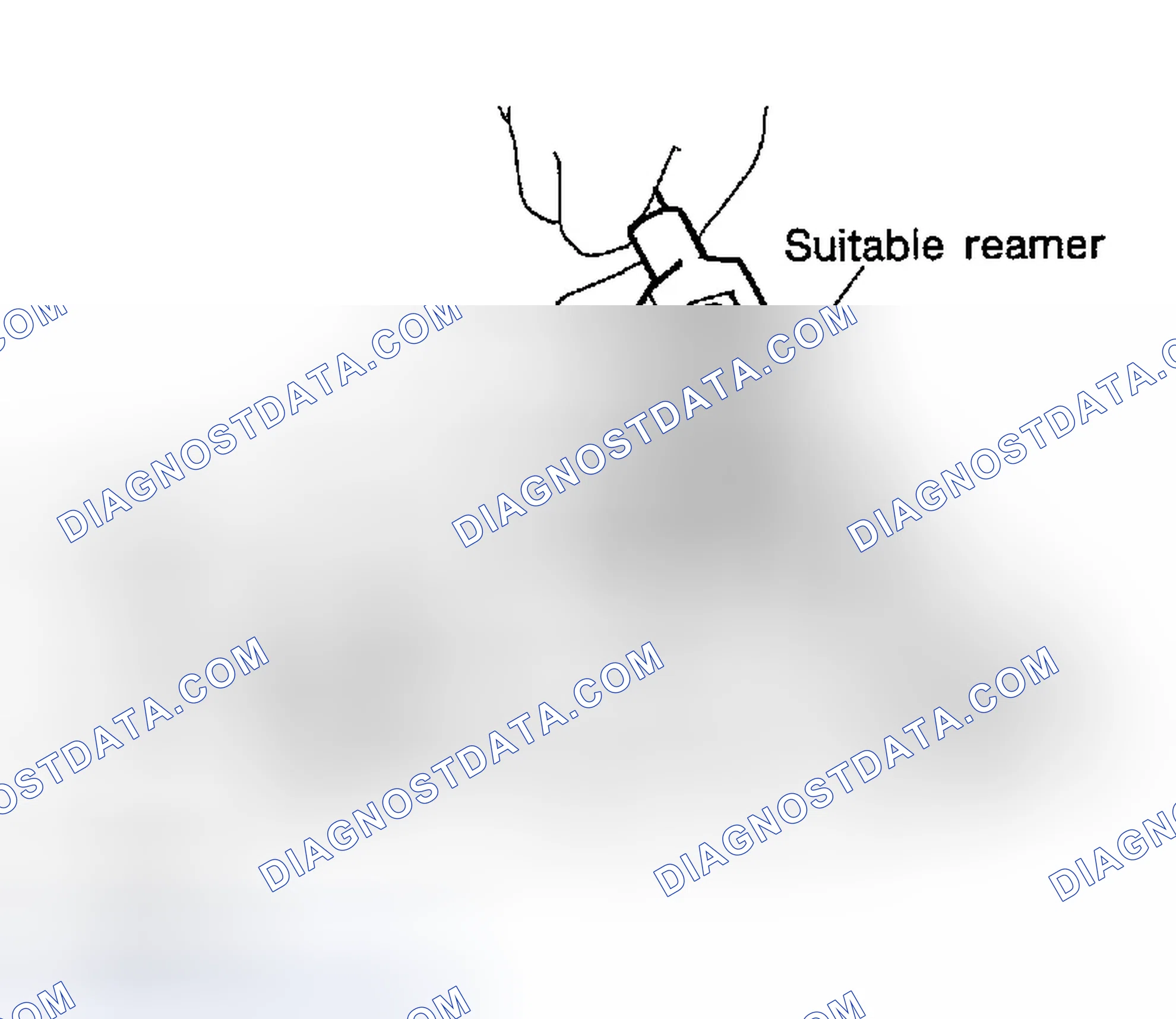 Scheme 288