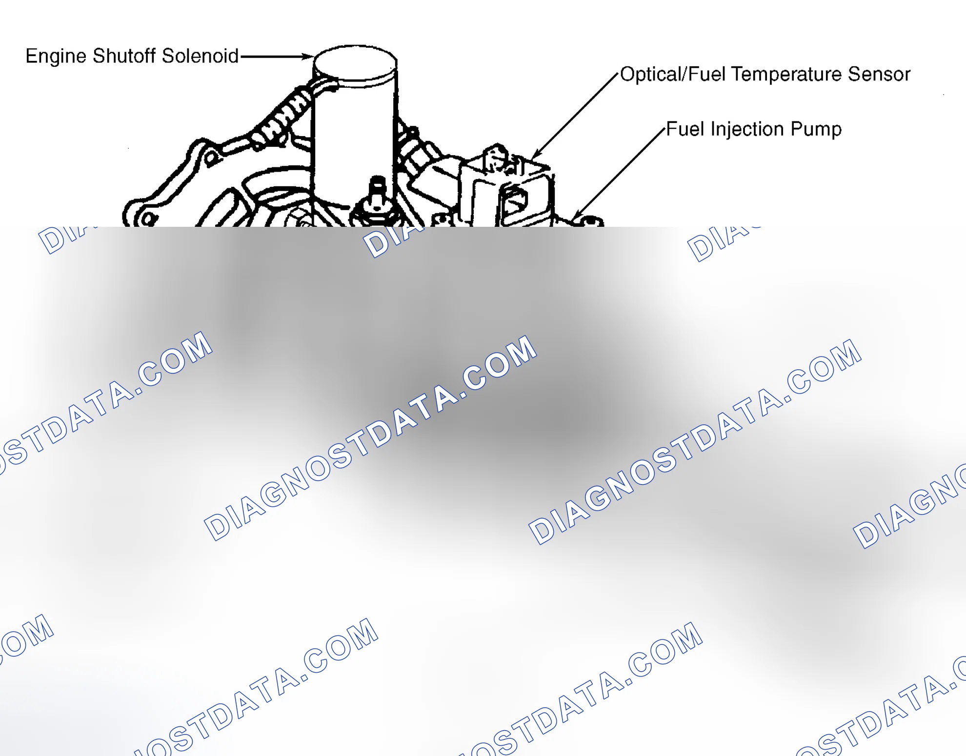 Scheme 8: Injection Pump Components (6.5L VIN F)