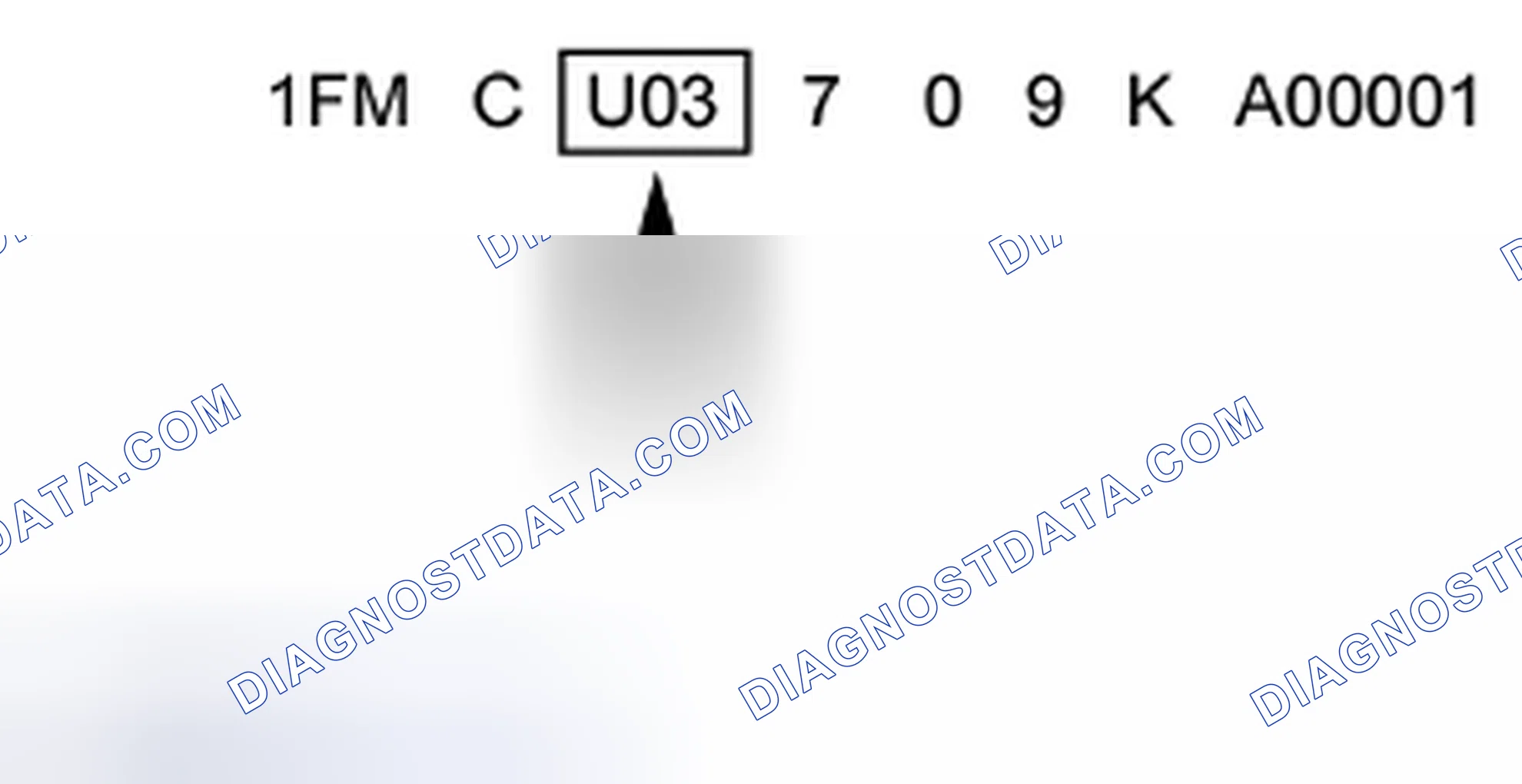 Scheme 5: Line, Series and Body Type