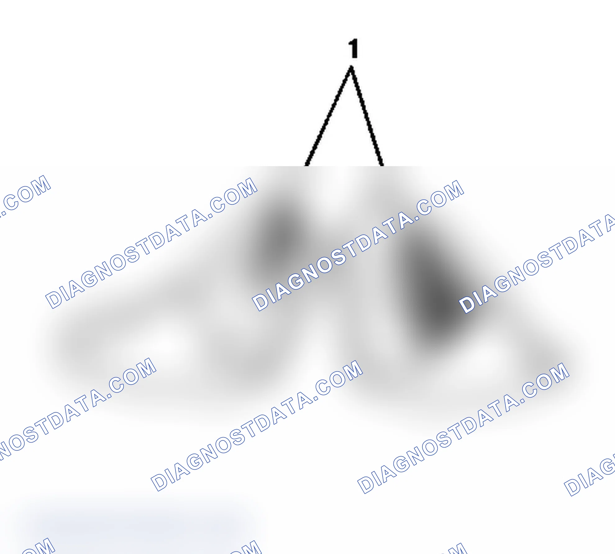 Scheme 81: Drive Side Toe - Coast Side Heel Contact Pattern