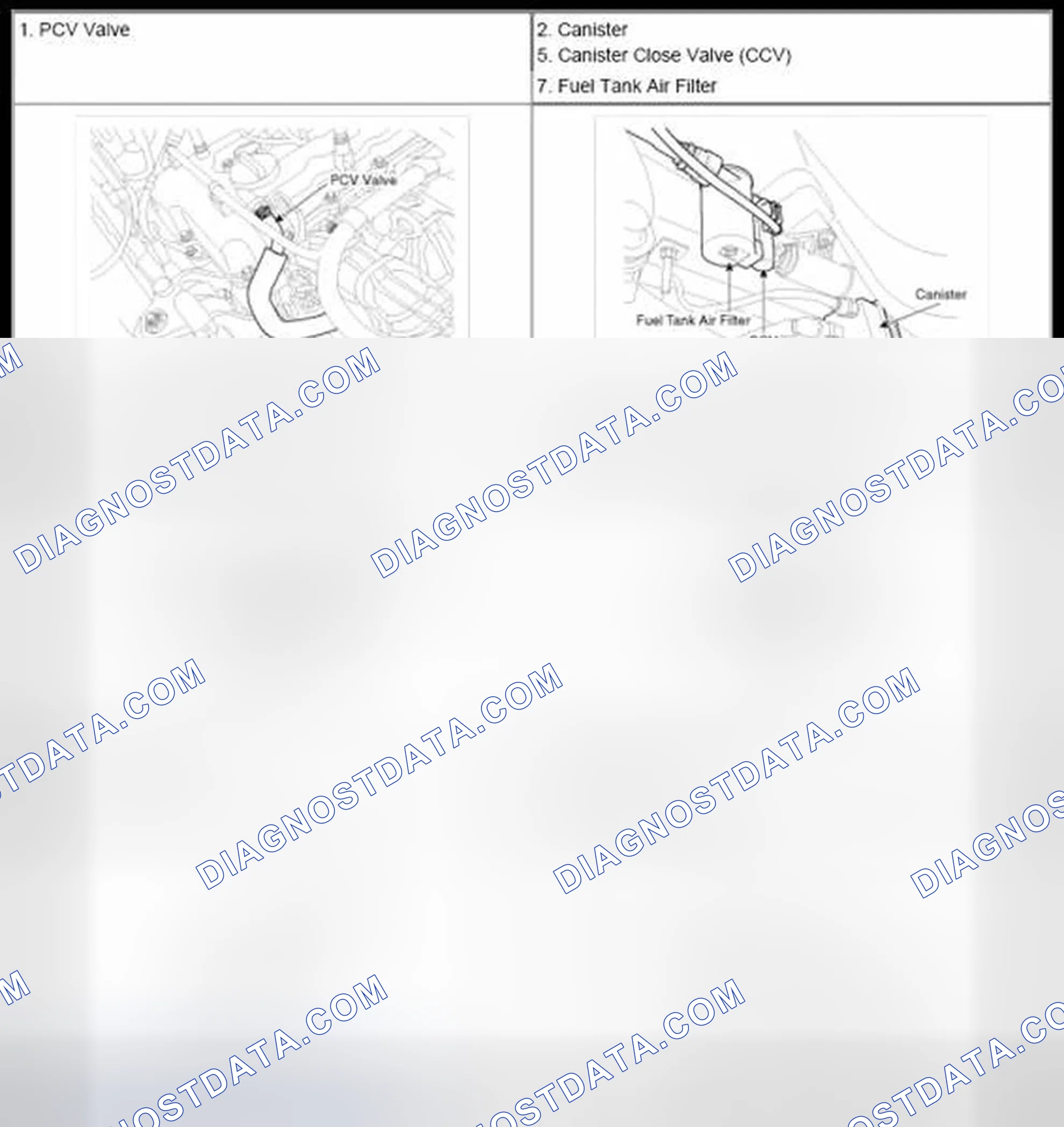 Scheme 302