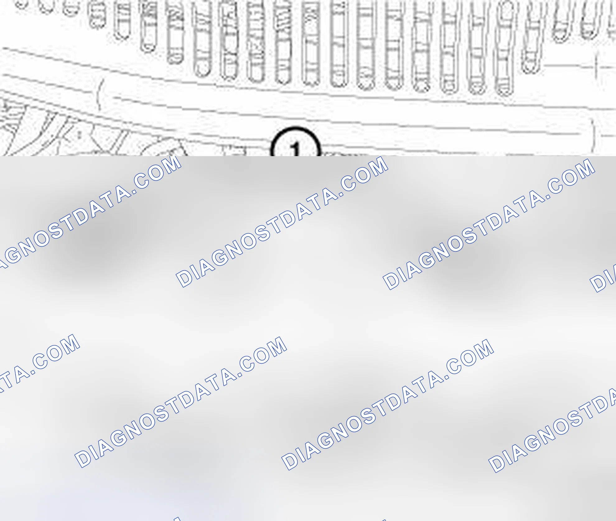 Scheme 546