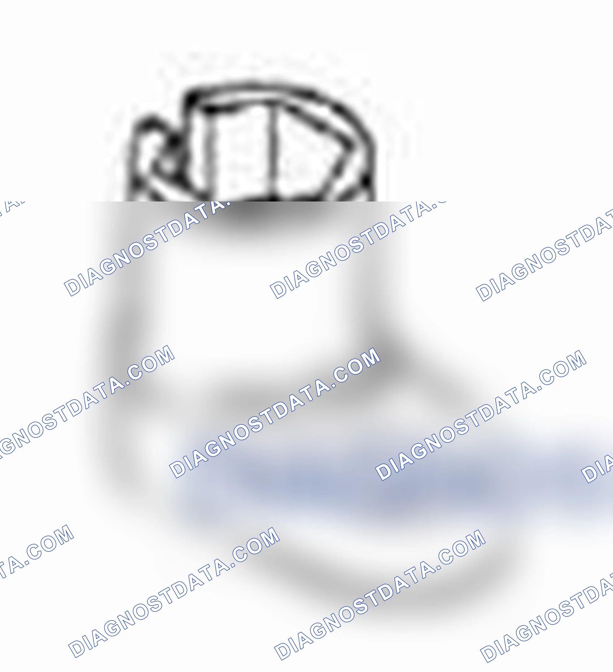 Scheme 51: Heated Oxygen Sensor (HO2S)