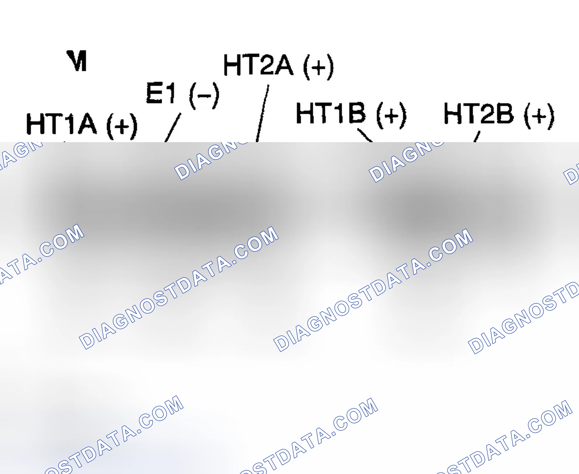 Scheme 147