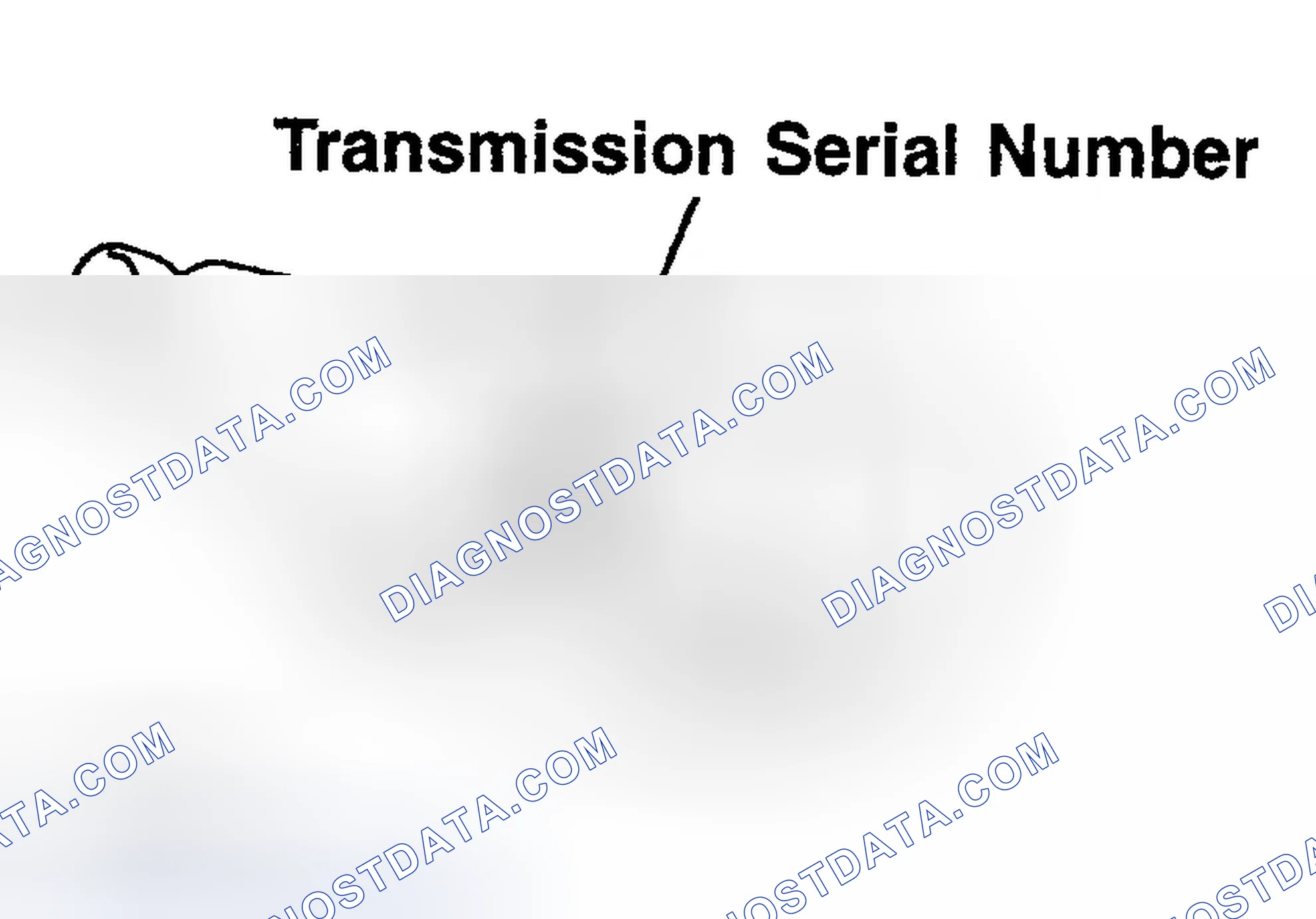 Scheme 179: TRANSMISSION