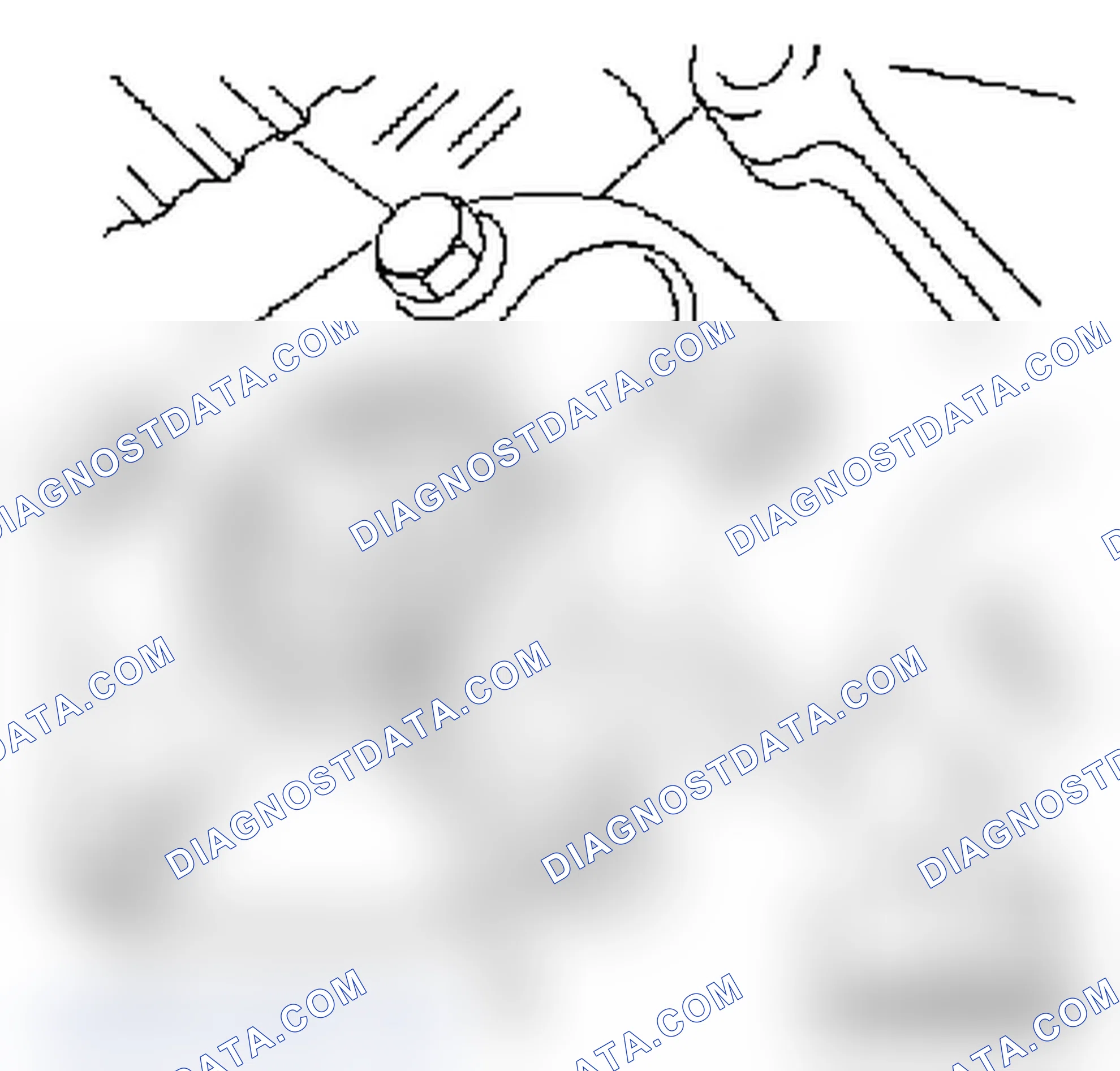 Replace Oil Pump Seal Ring