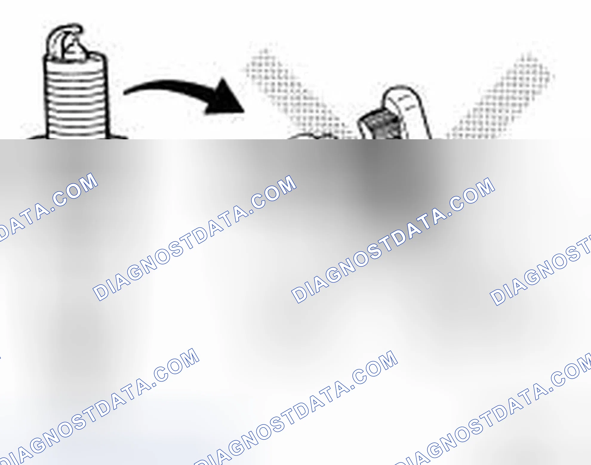 Scheme 24: INSPECTION AFTER REMOVAL