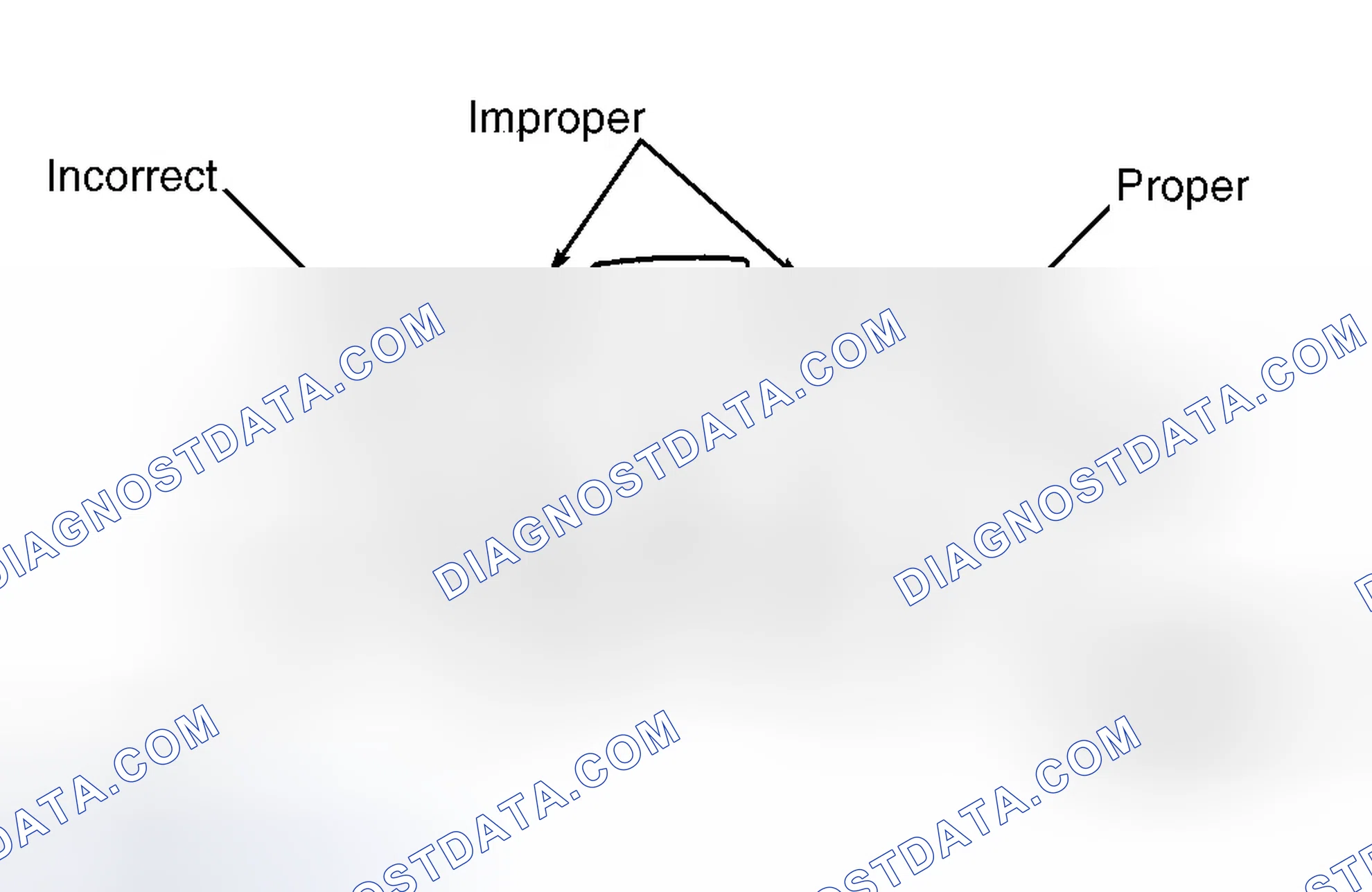 Scheme 5