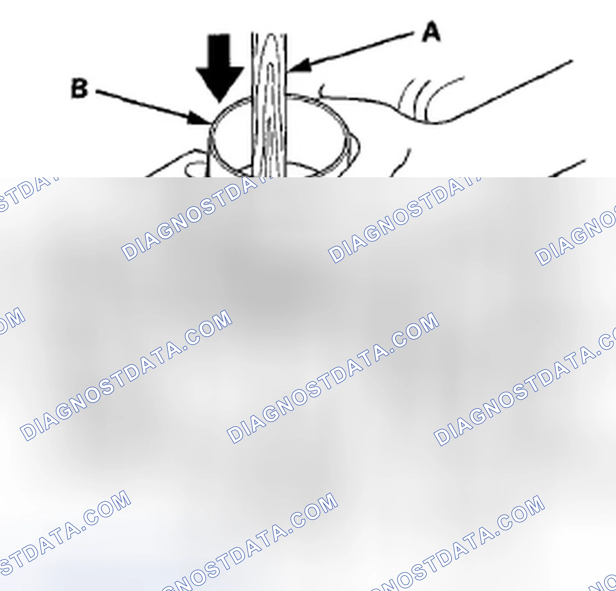 Scheme 218