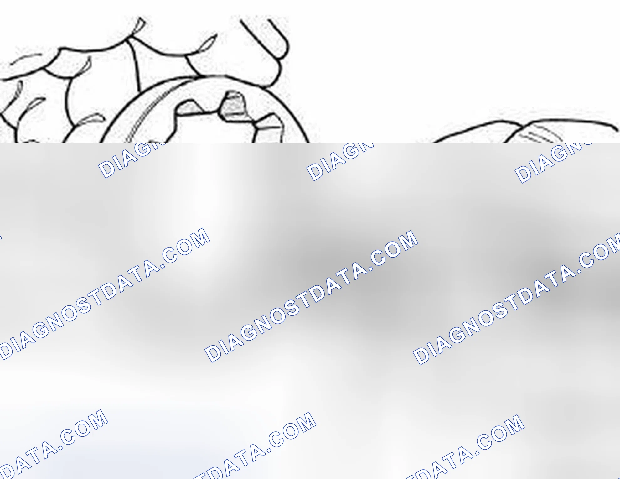 Scheme 291