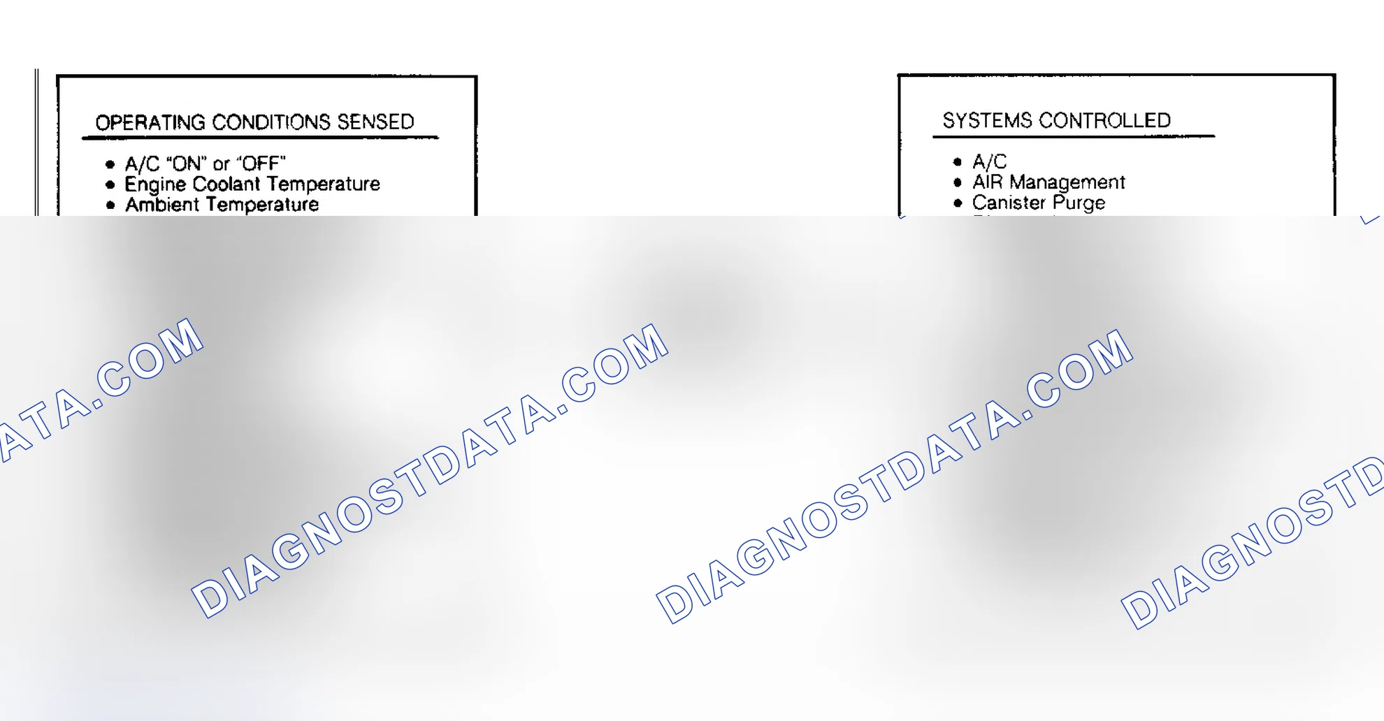 Scheme 24: 5.0L SPFI System Wiring Diagram
